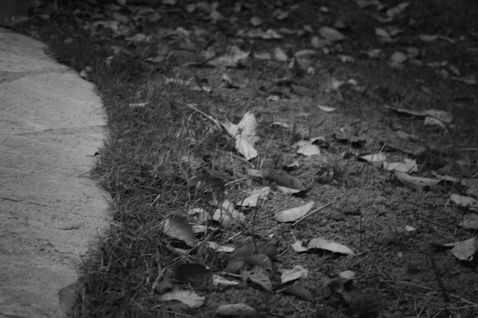 woman wearing yellow long-sleeved dress under white clouds and blue sky during daytime