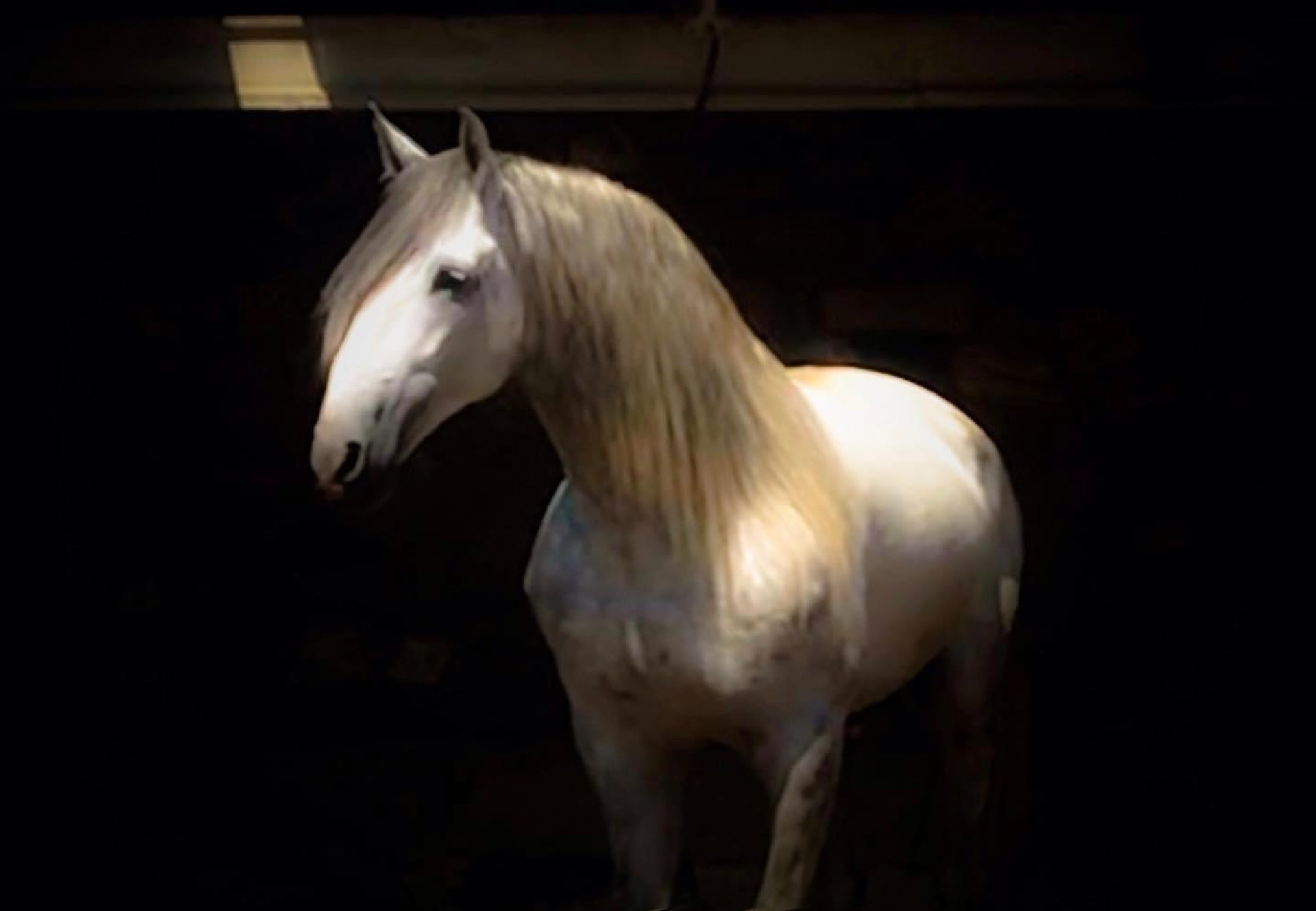 person wearing grey knit sweater