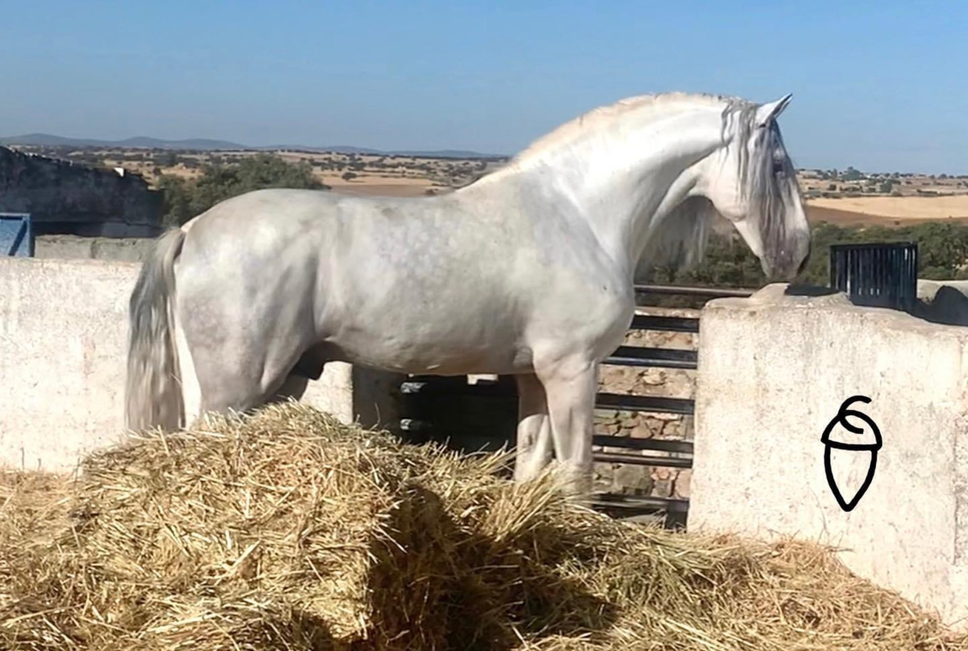 person wearing grey knit sweater