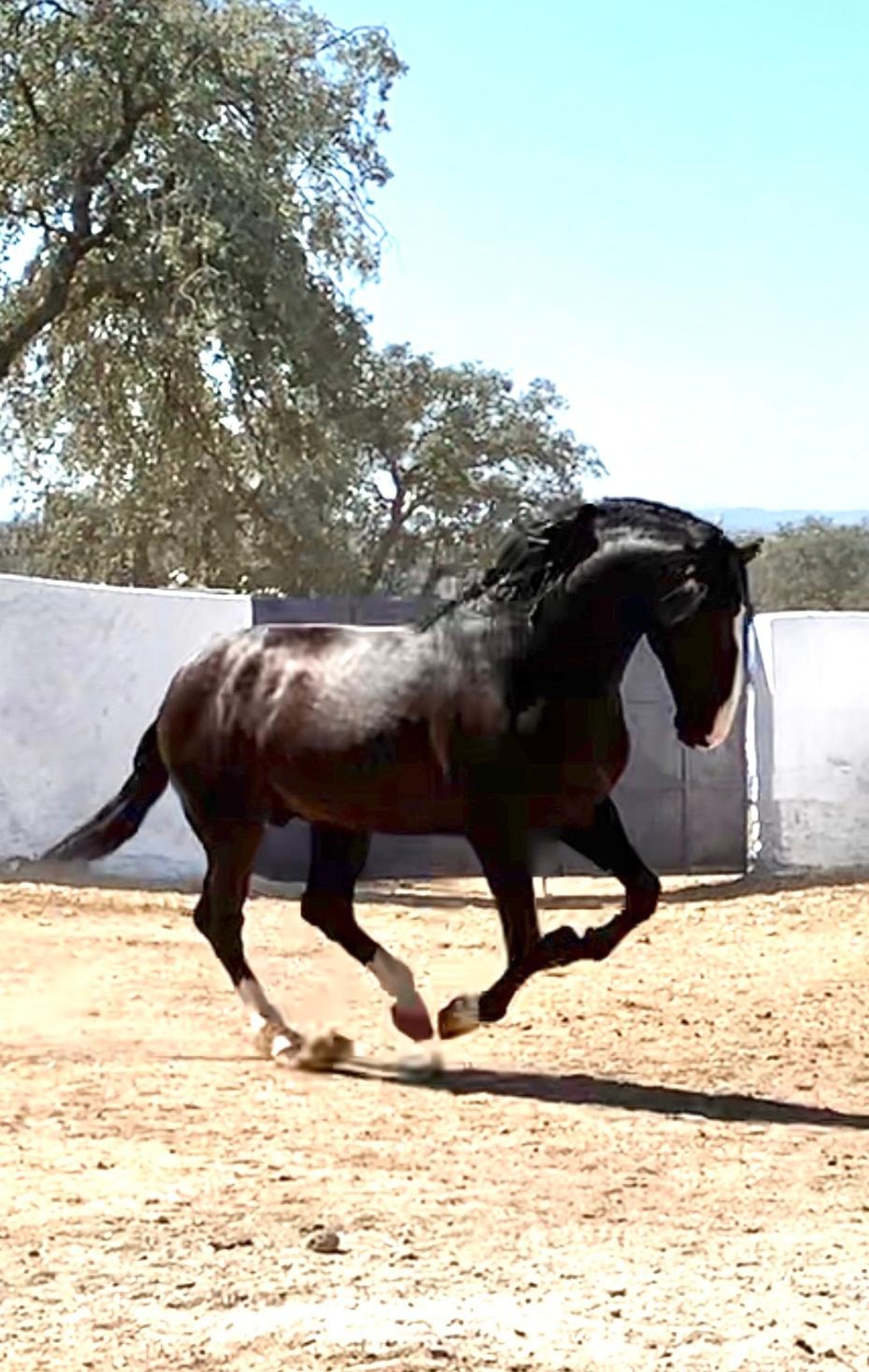 gray computer monitor