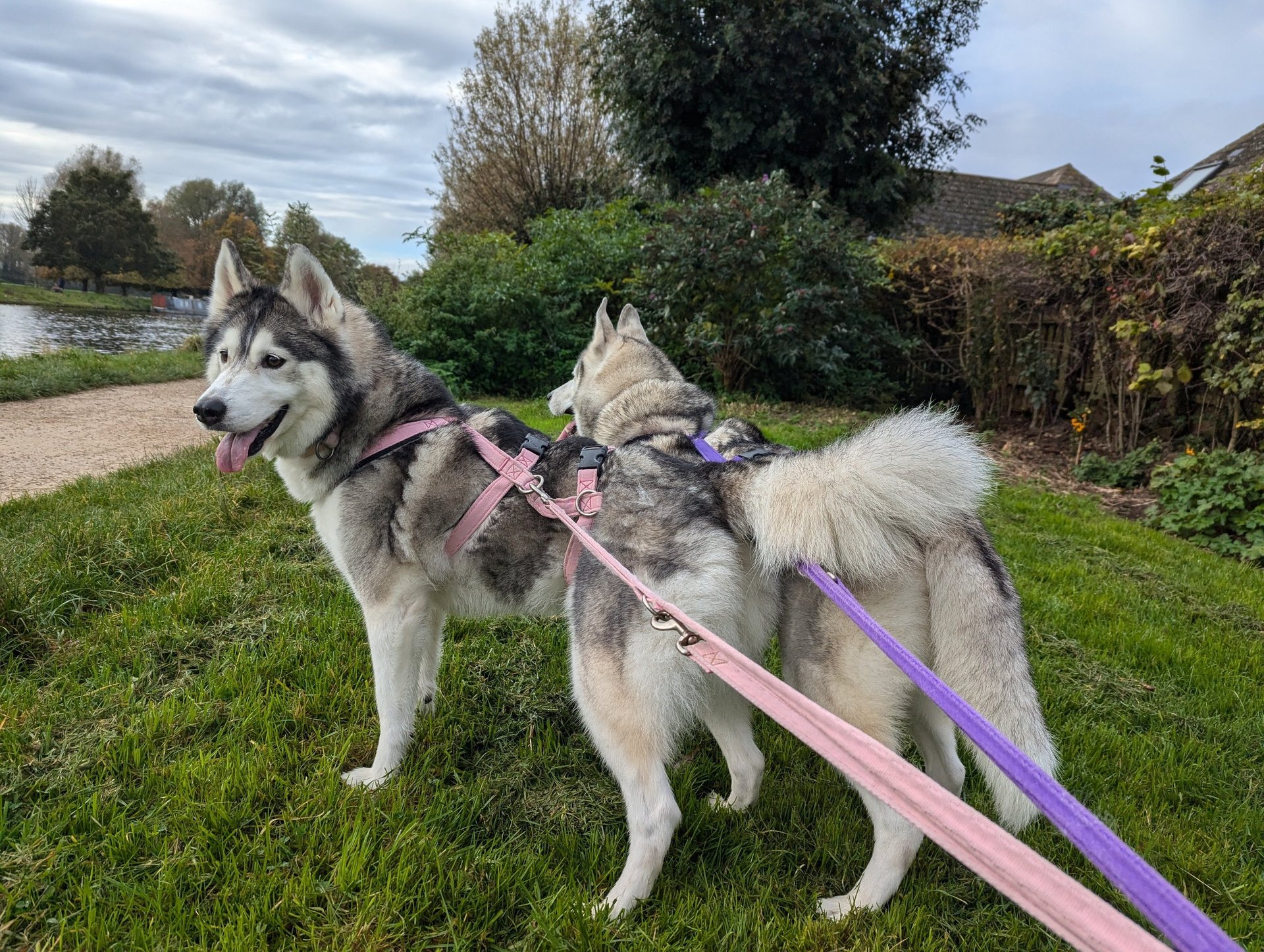 woman wearing yellow long-sleeved dress under white clouds and blue sky during daytime