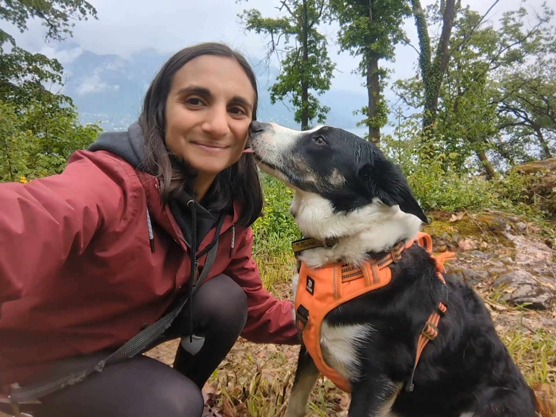 black and brown leather padded tub sofa