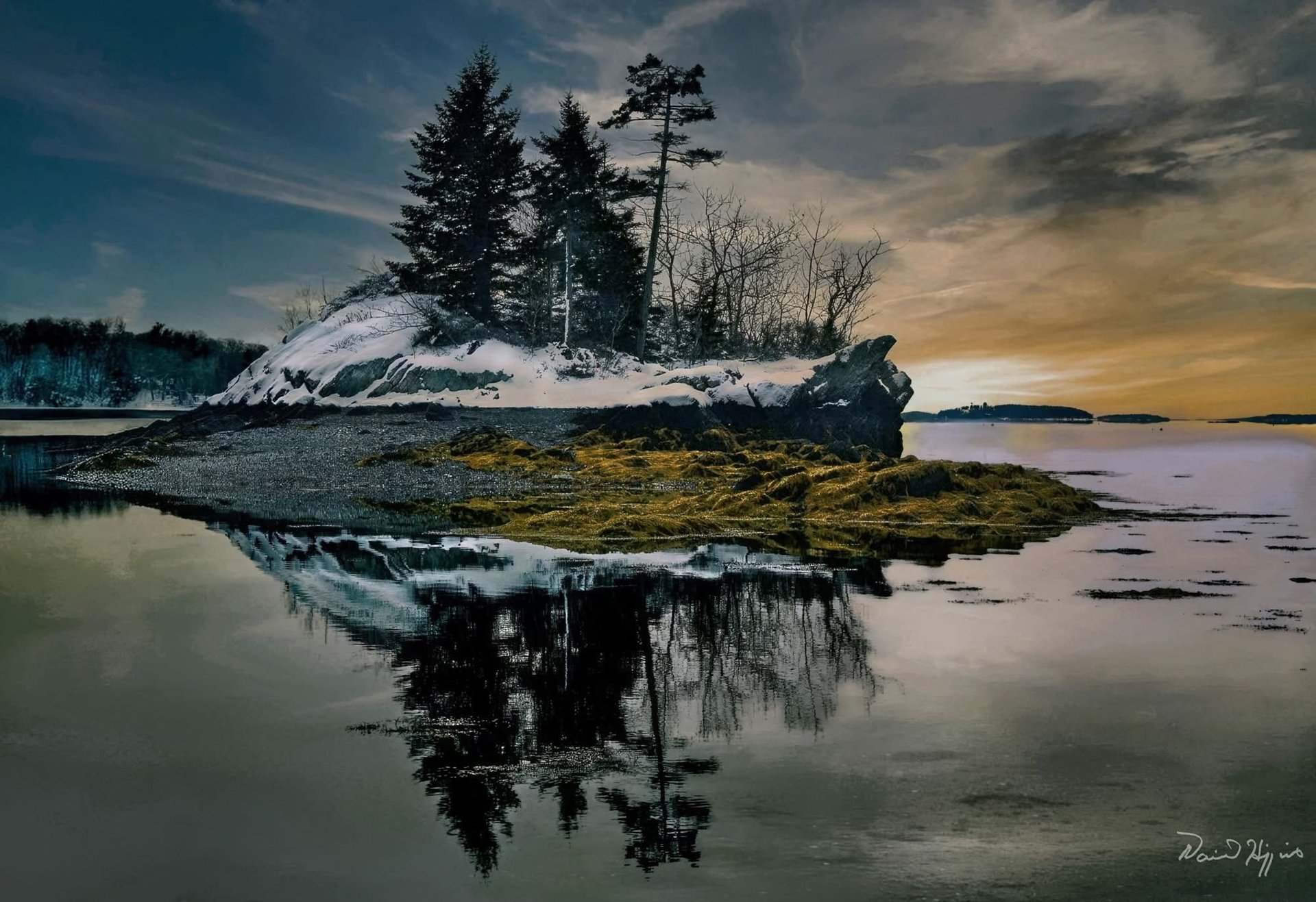 shallow focus photography of pine cone