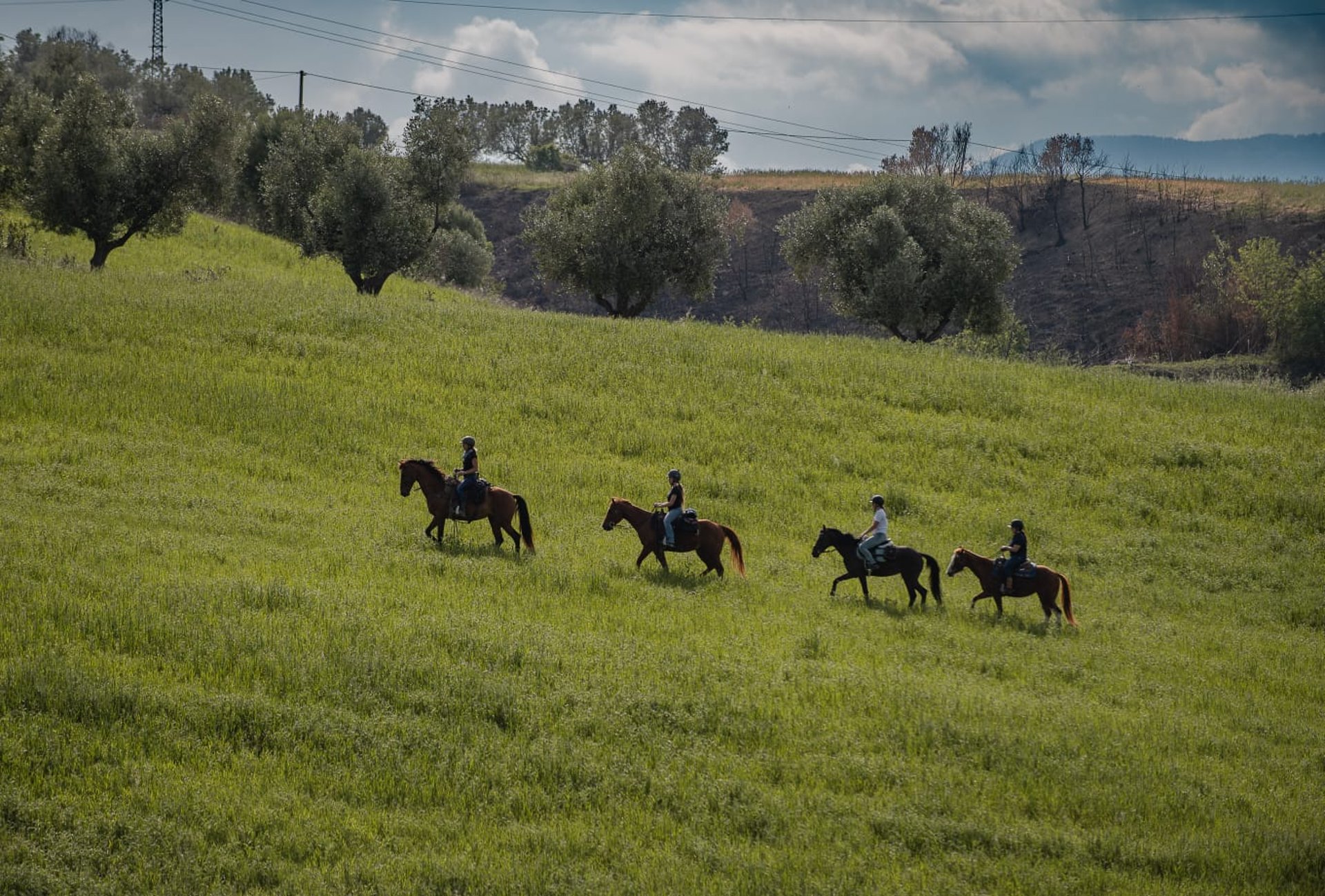 black and white bed linen