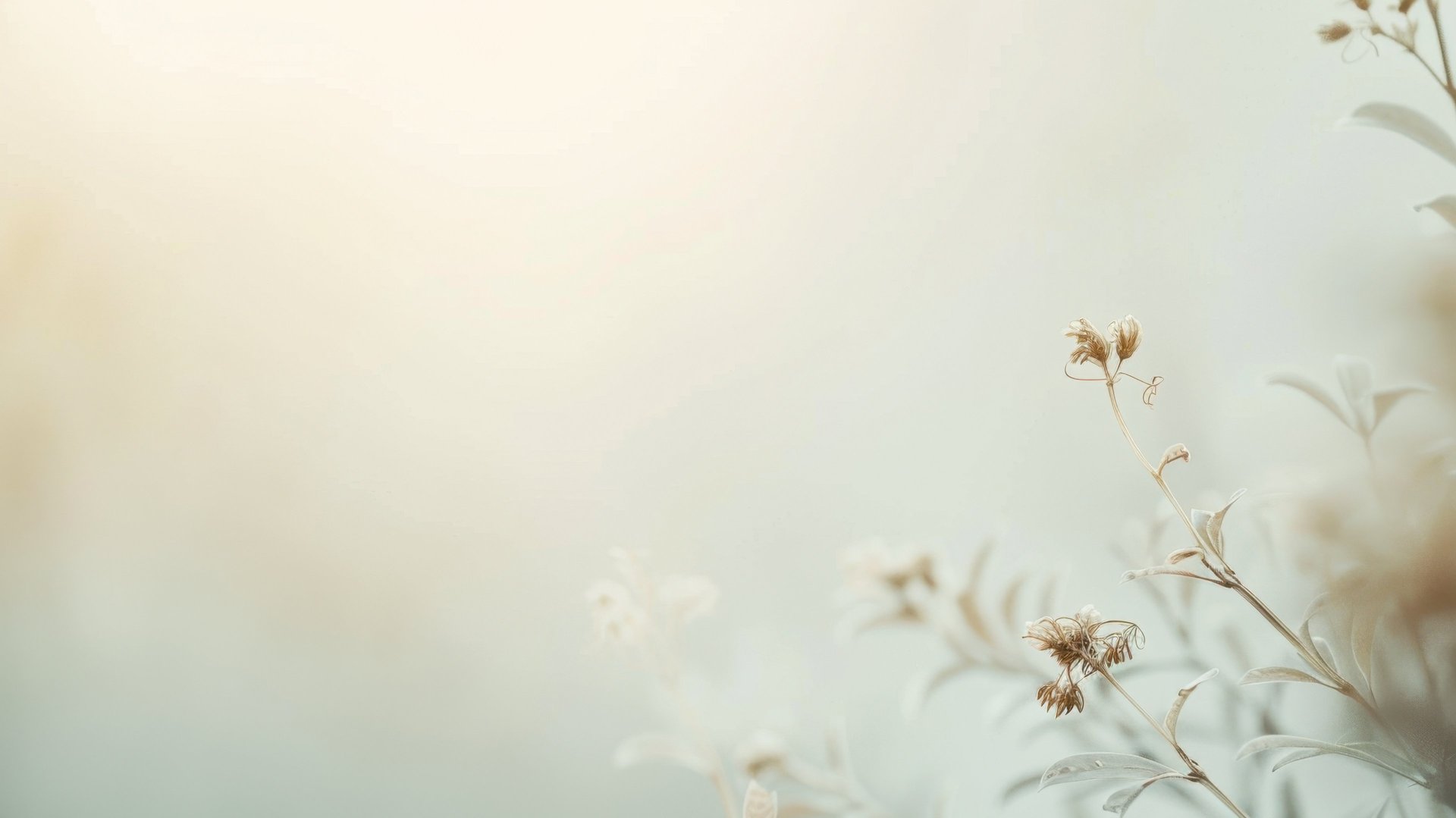 purple galaxy wallpaper