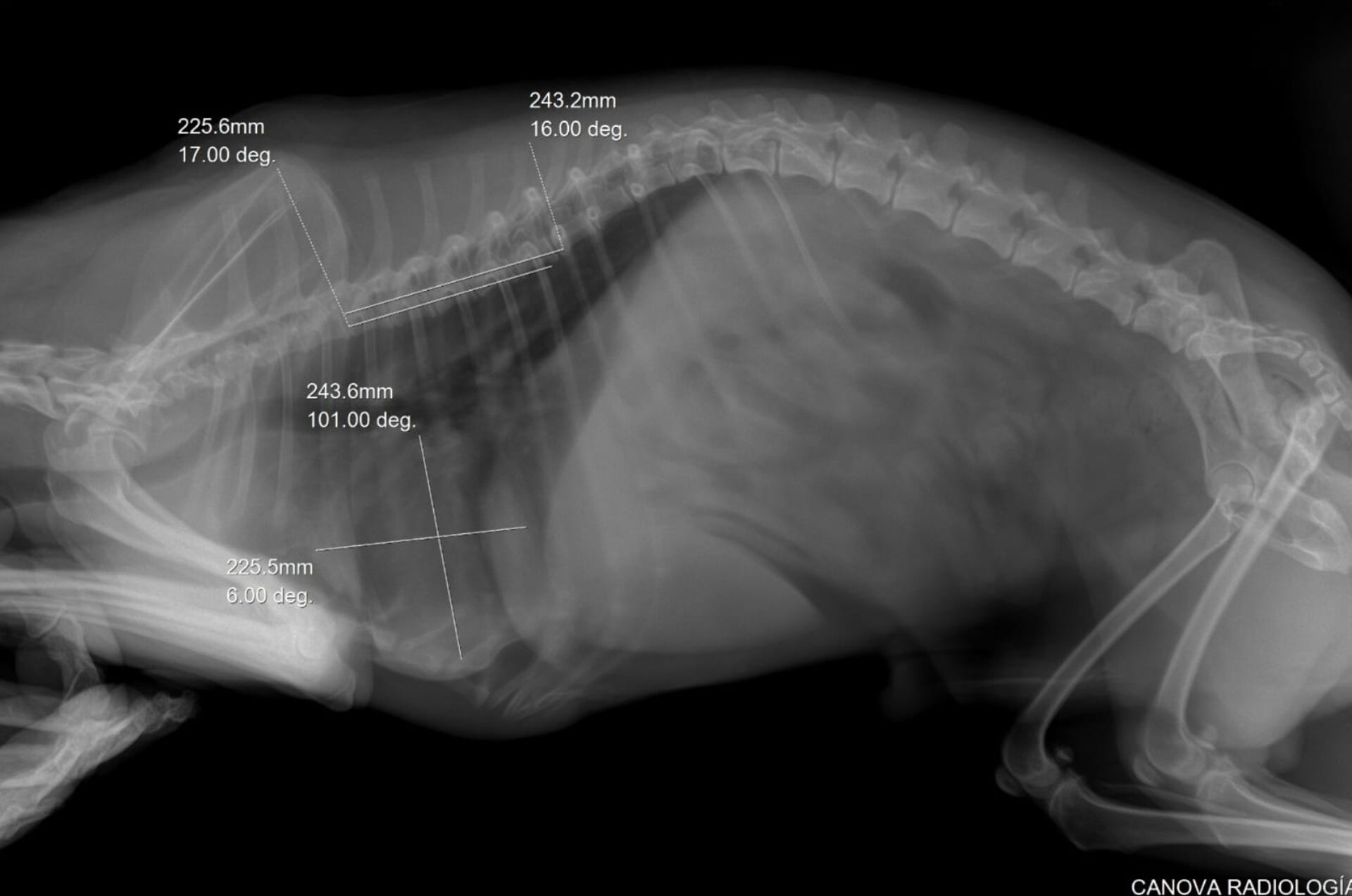 black and brown leather padded tub sofa