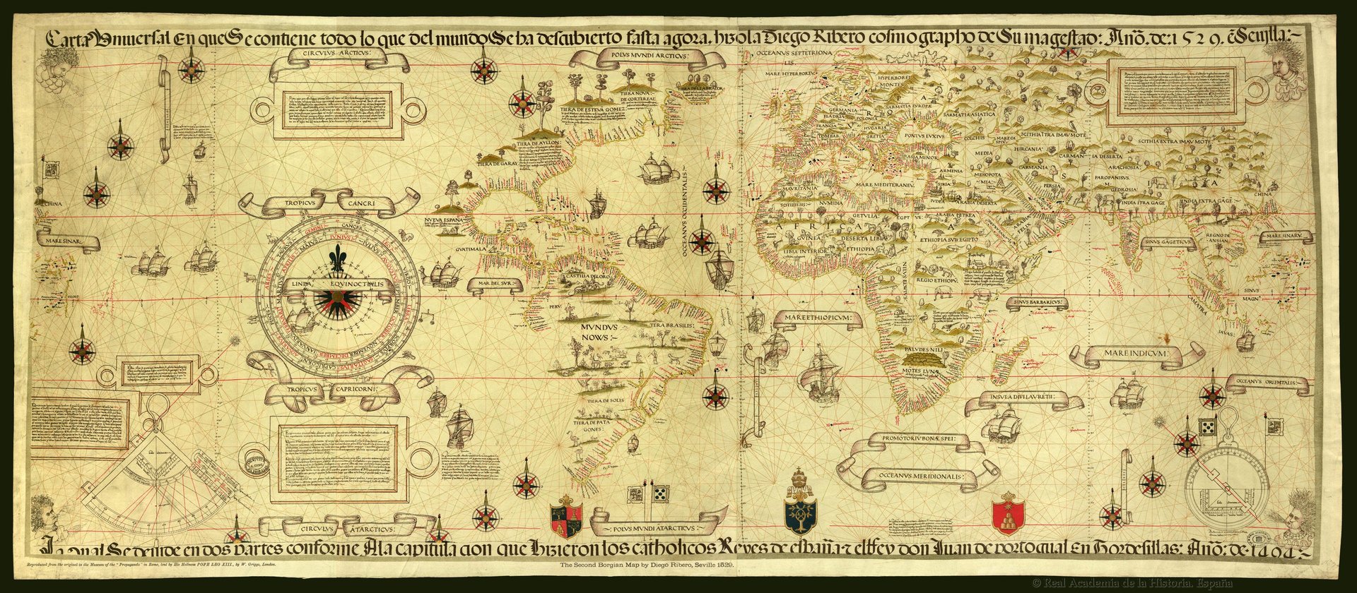 yellow flower field under blue and white sunny cloudy sky