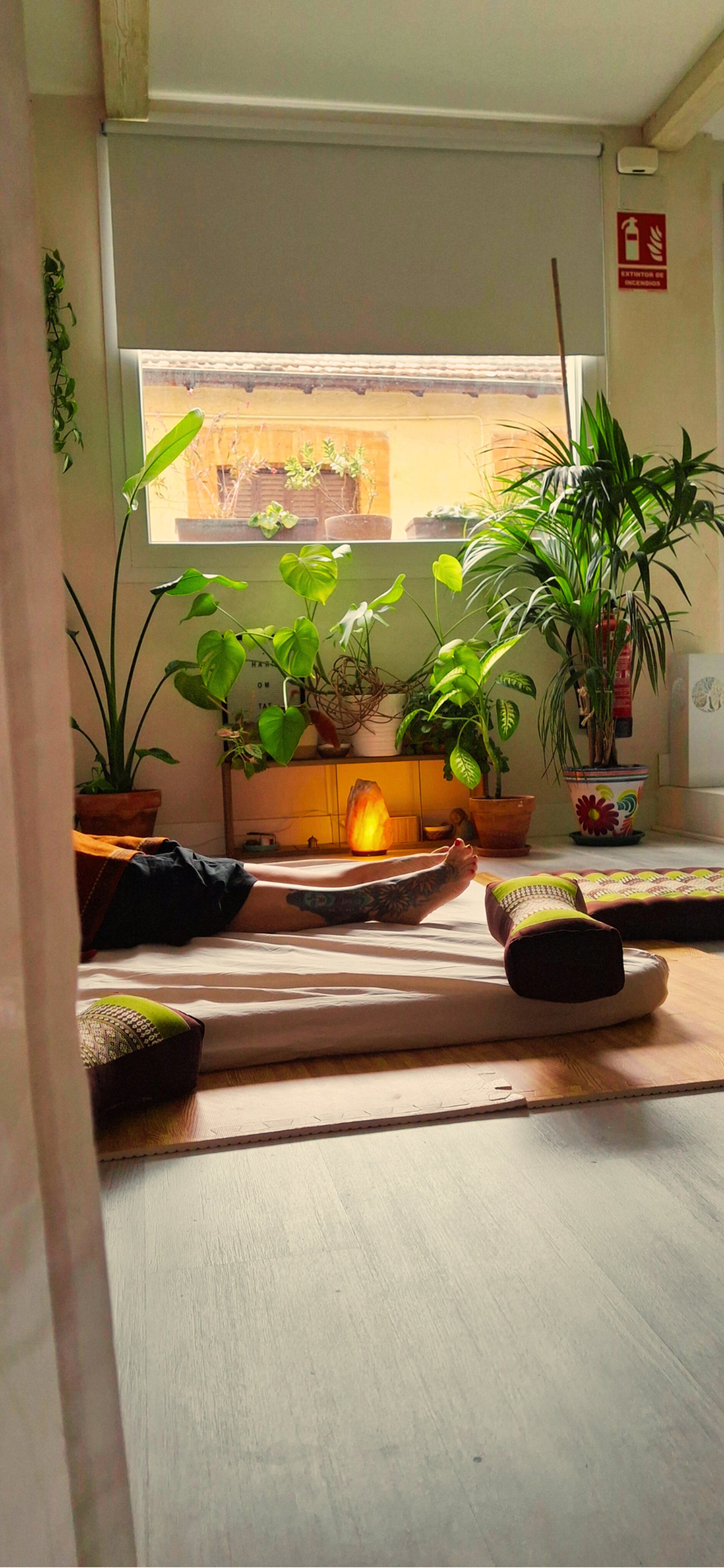 a white water lily floating in a pond