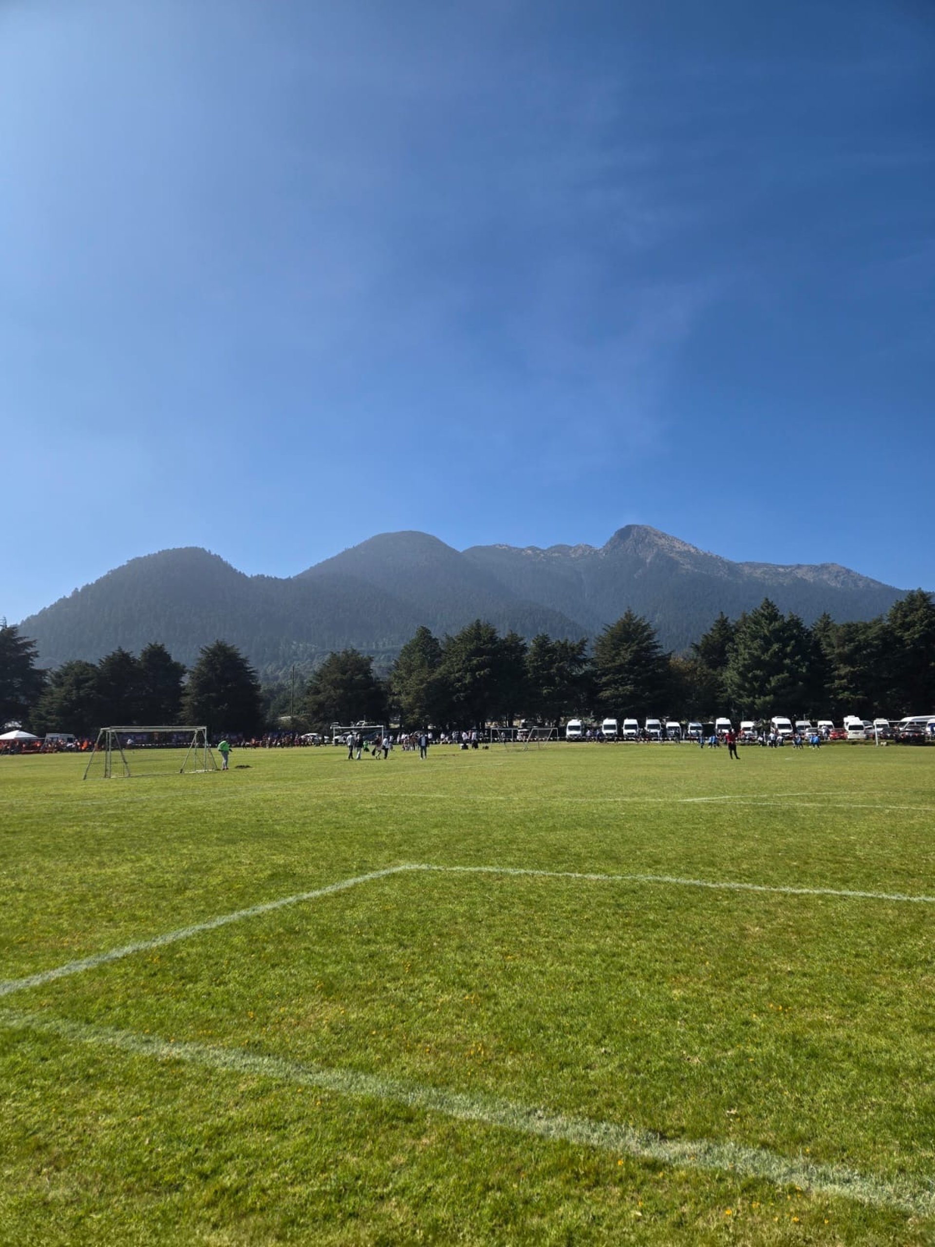 three white-and-black soccer balls on field