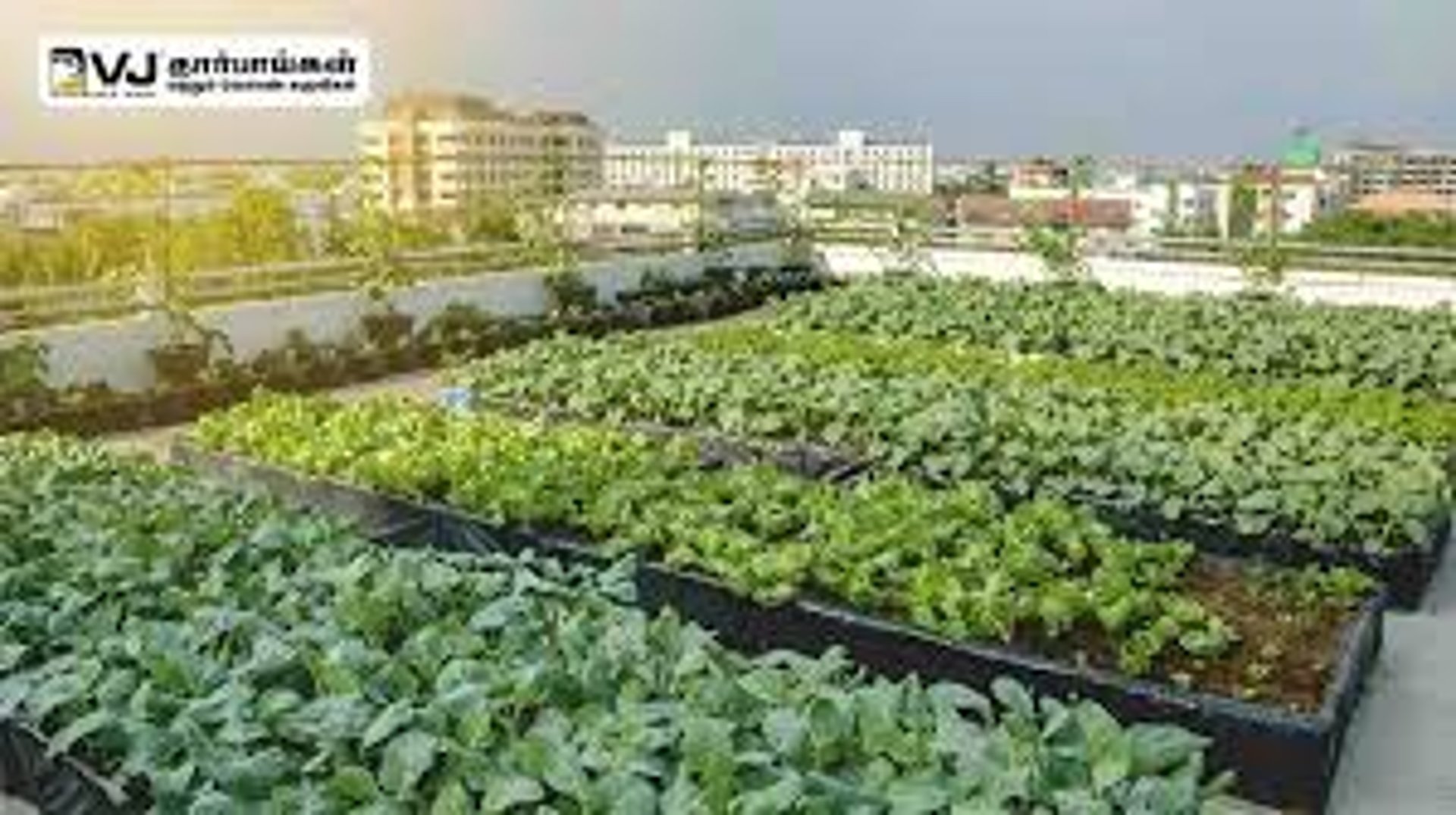 gray computer monitor