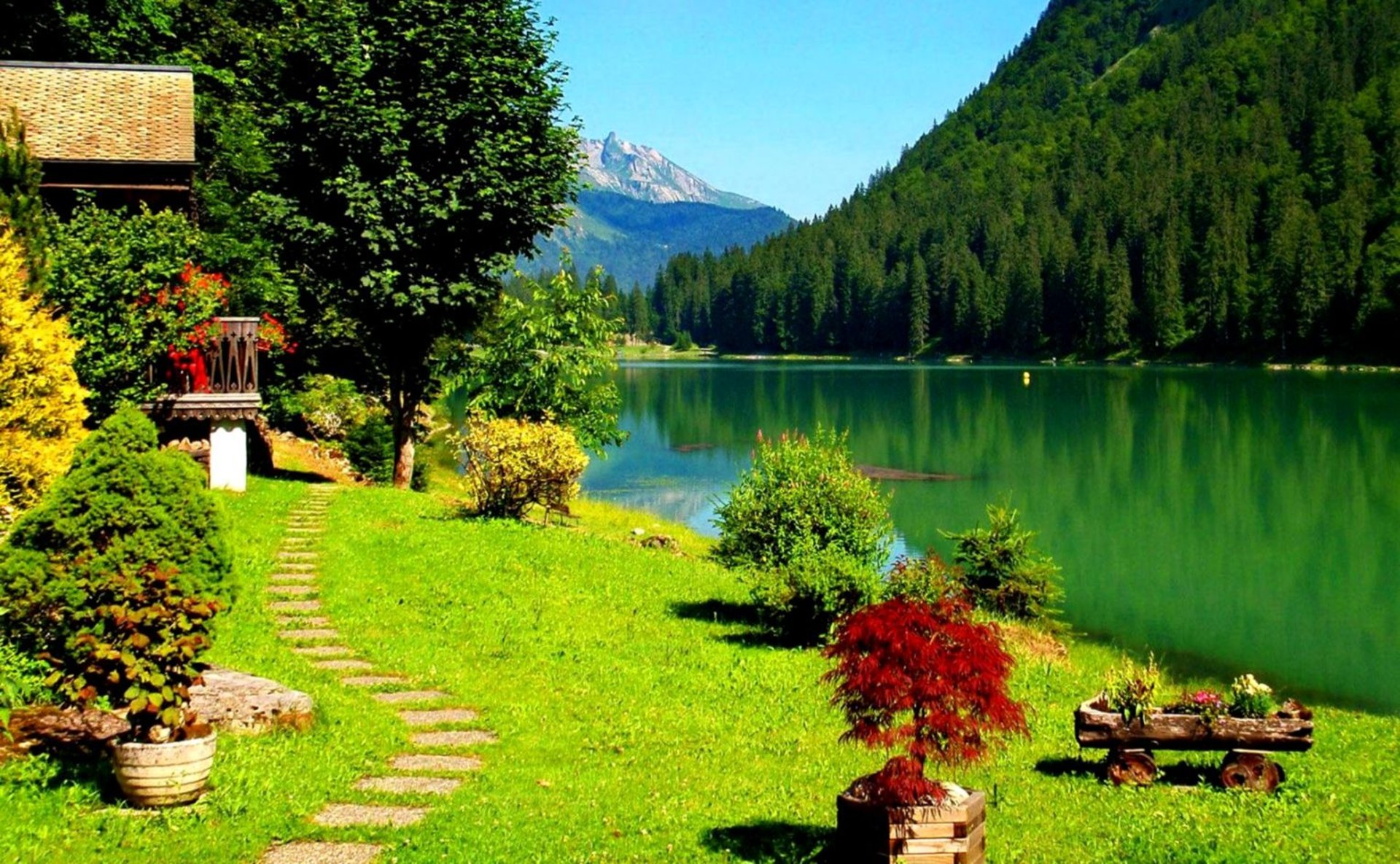 black blue and yellow textile