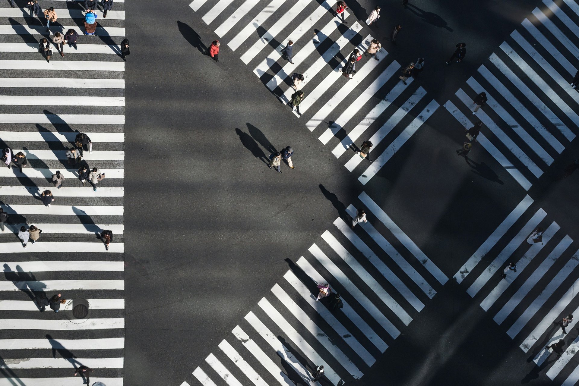 Ryoji Iwata Crossings