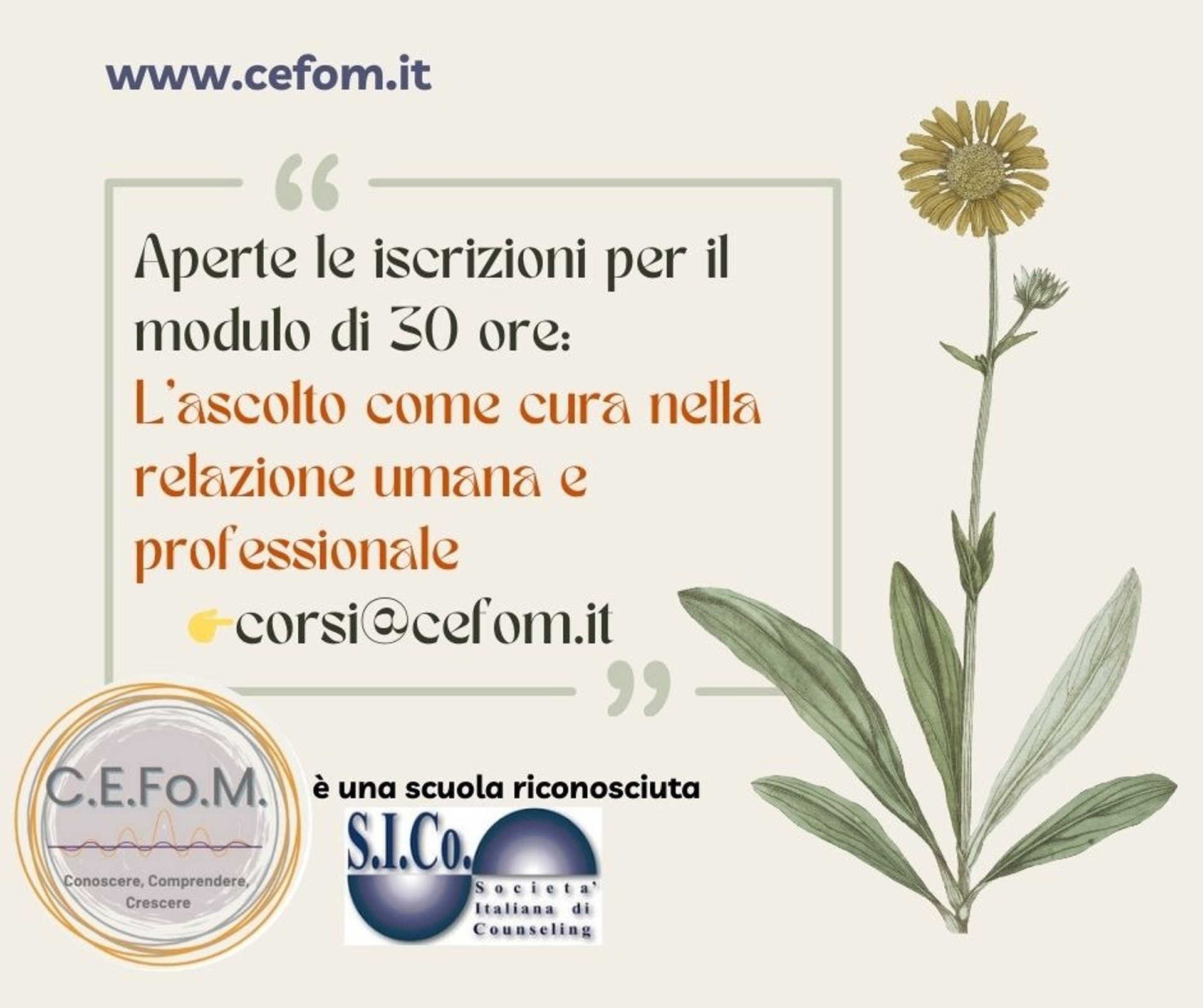 gray owl perching on wooden branch during daytime