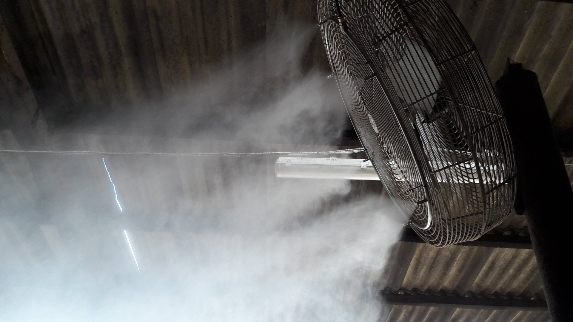 black and brown leather padded tub sofa