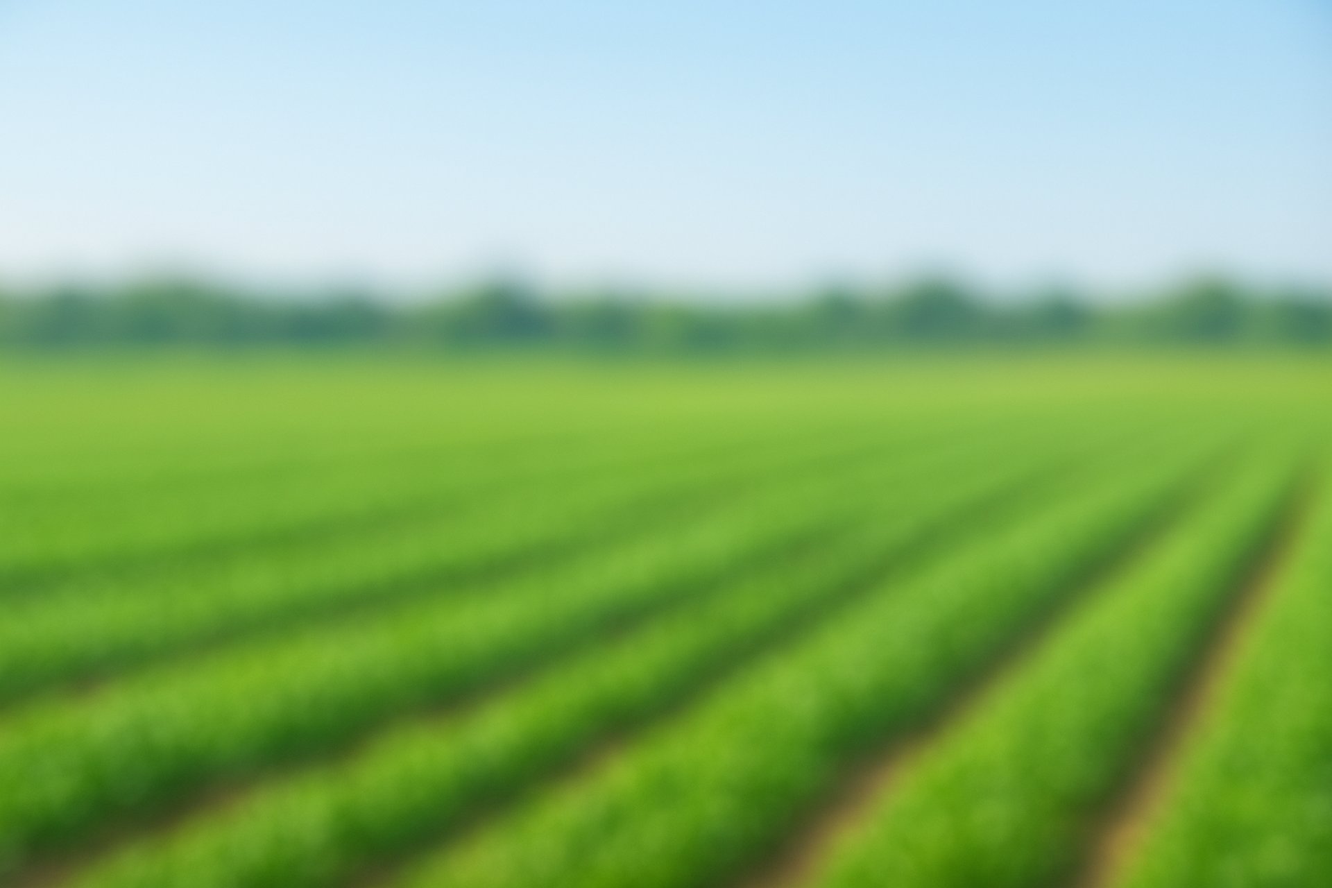 woman wearing yellow long-sleeved dress under white clouds and blue sky during daytime