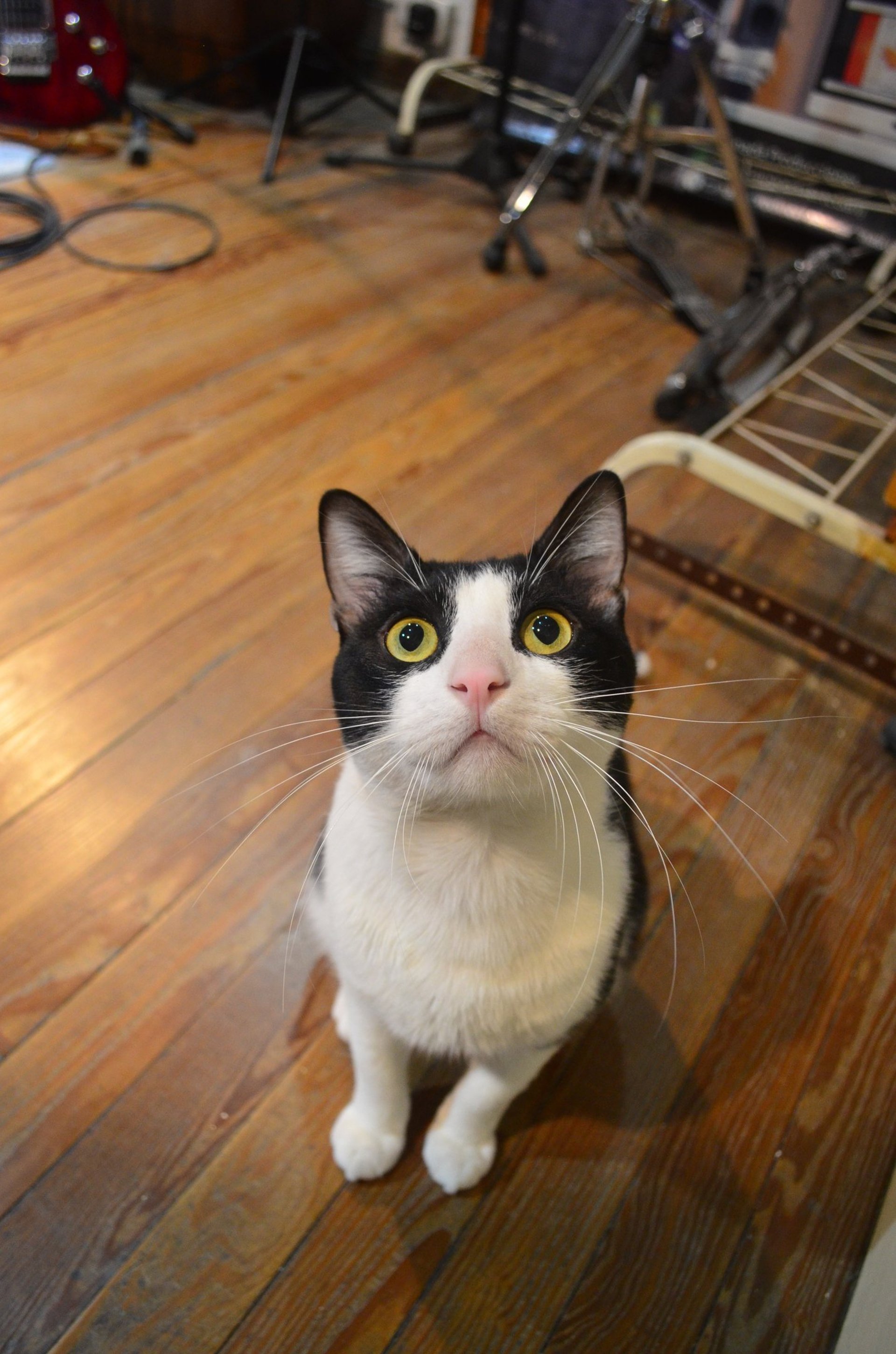 mountain range under blue sky