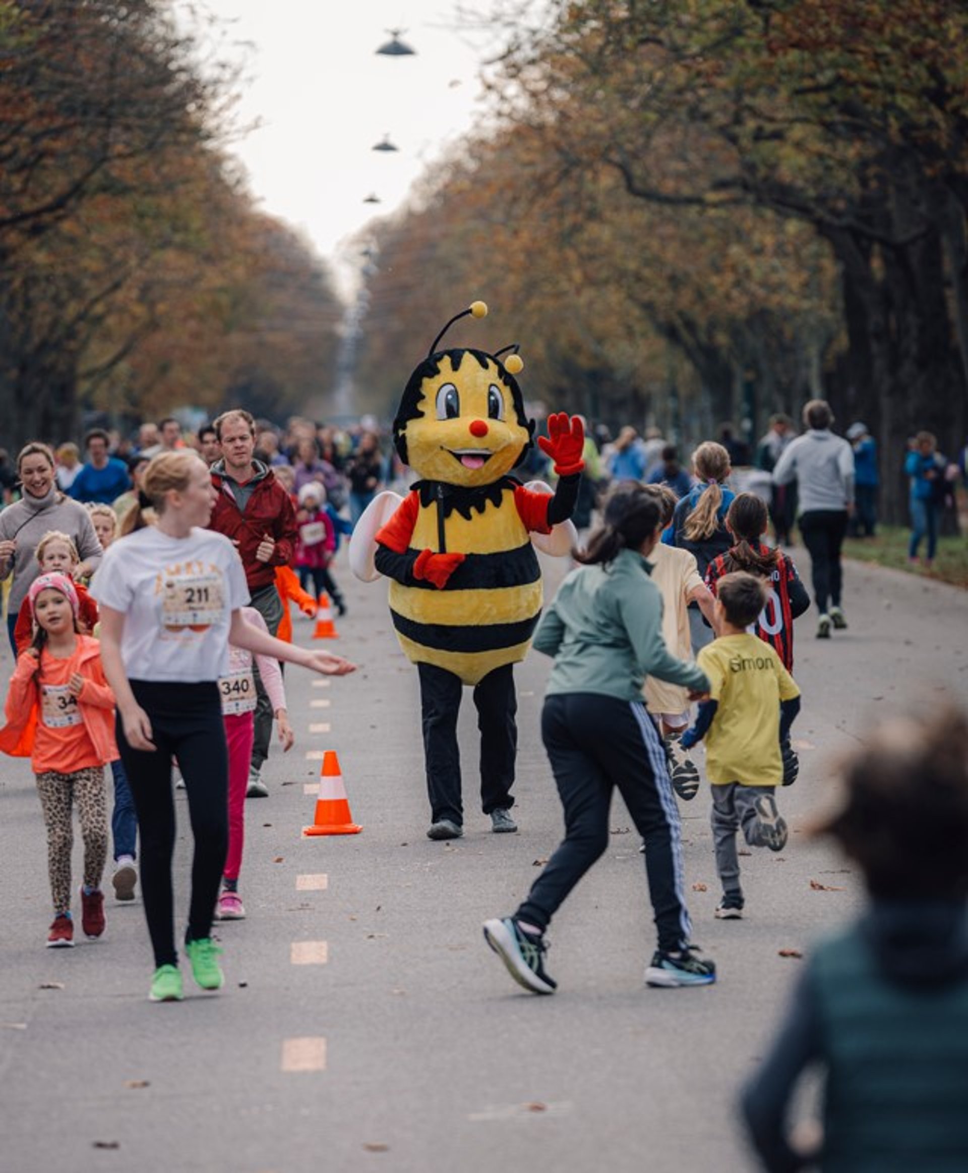 white and yellow petaled flower field during daytime