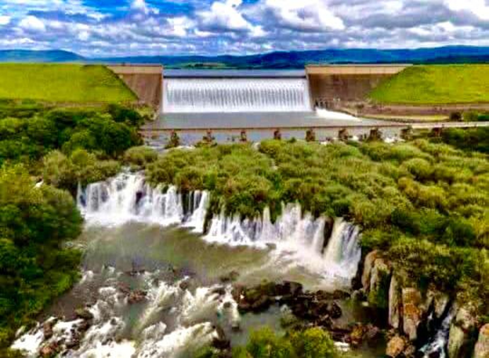 black and white bed linen