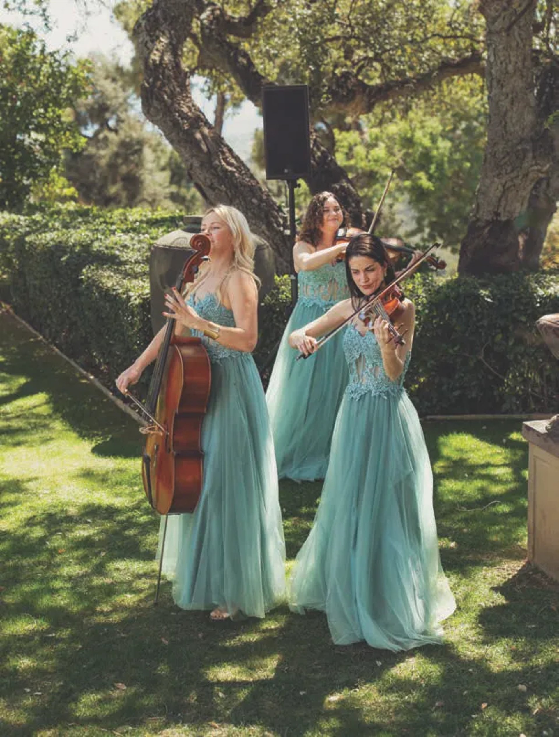Musicians performing in the gardens of Finca Santa Katerina