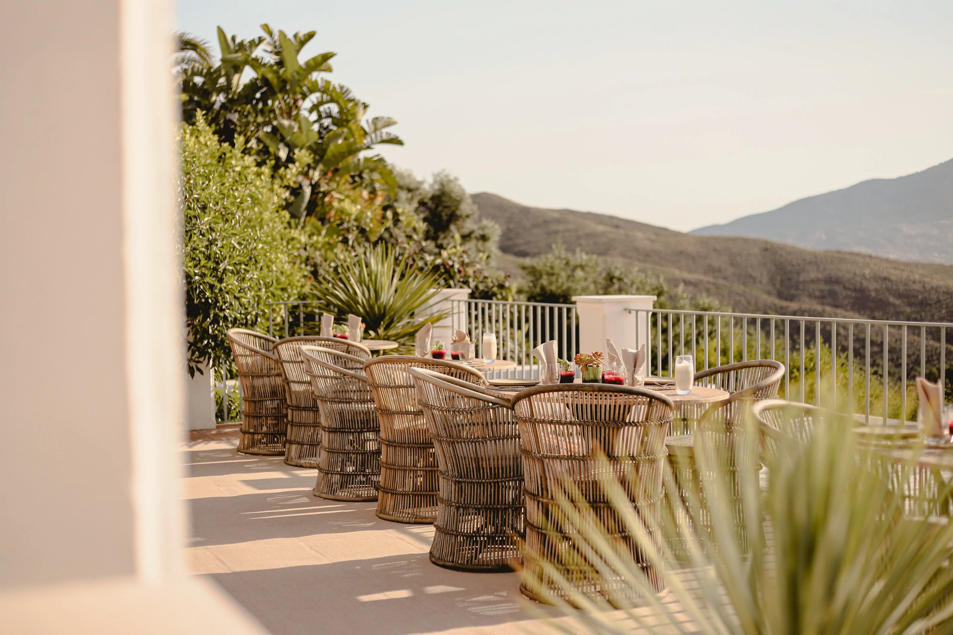 Hilltop Mediterranean estate surrounded by olive trees and nature