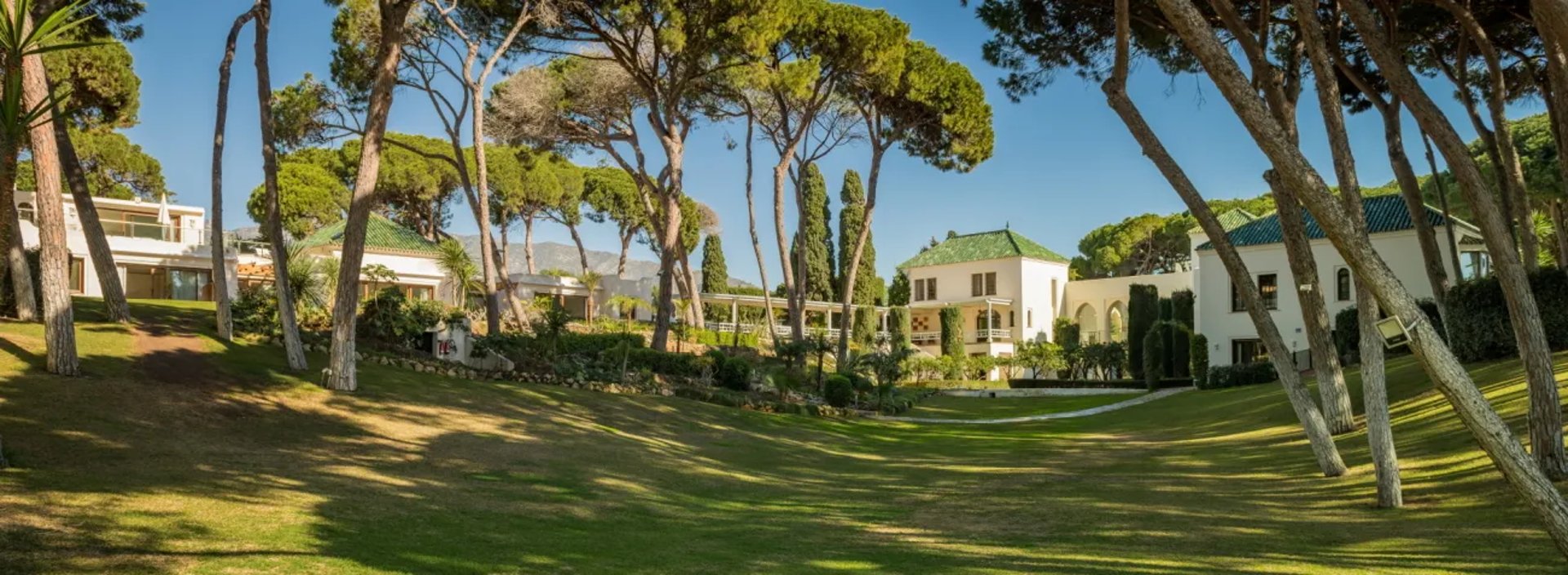 Garden view at Villa El Rincon with pine trees