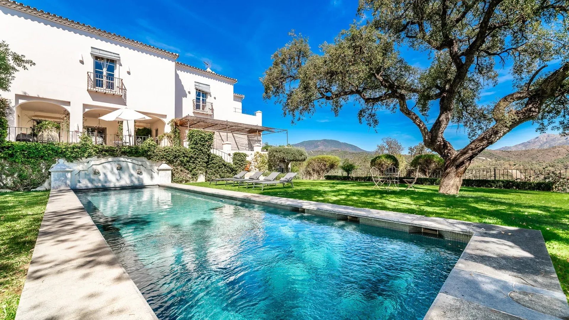 Swimming pool beside the villa framed by olive trees at Finca Santa Katerina