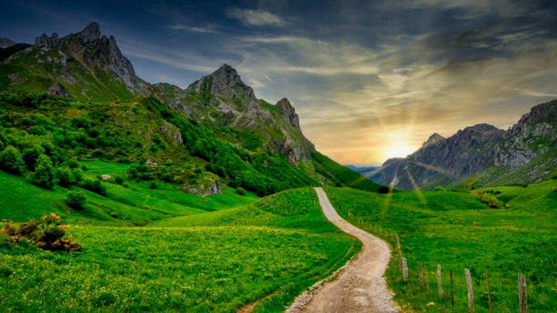 person walking toward snow-capped mountain