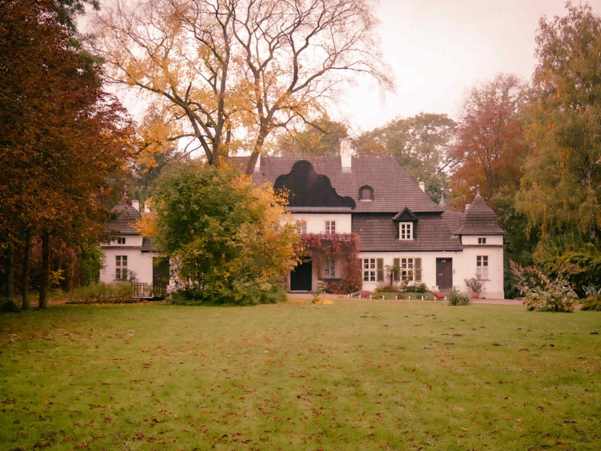 black blue and yellow textile