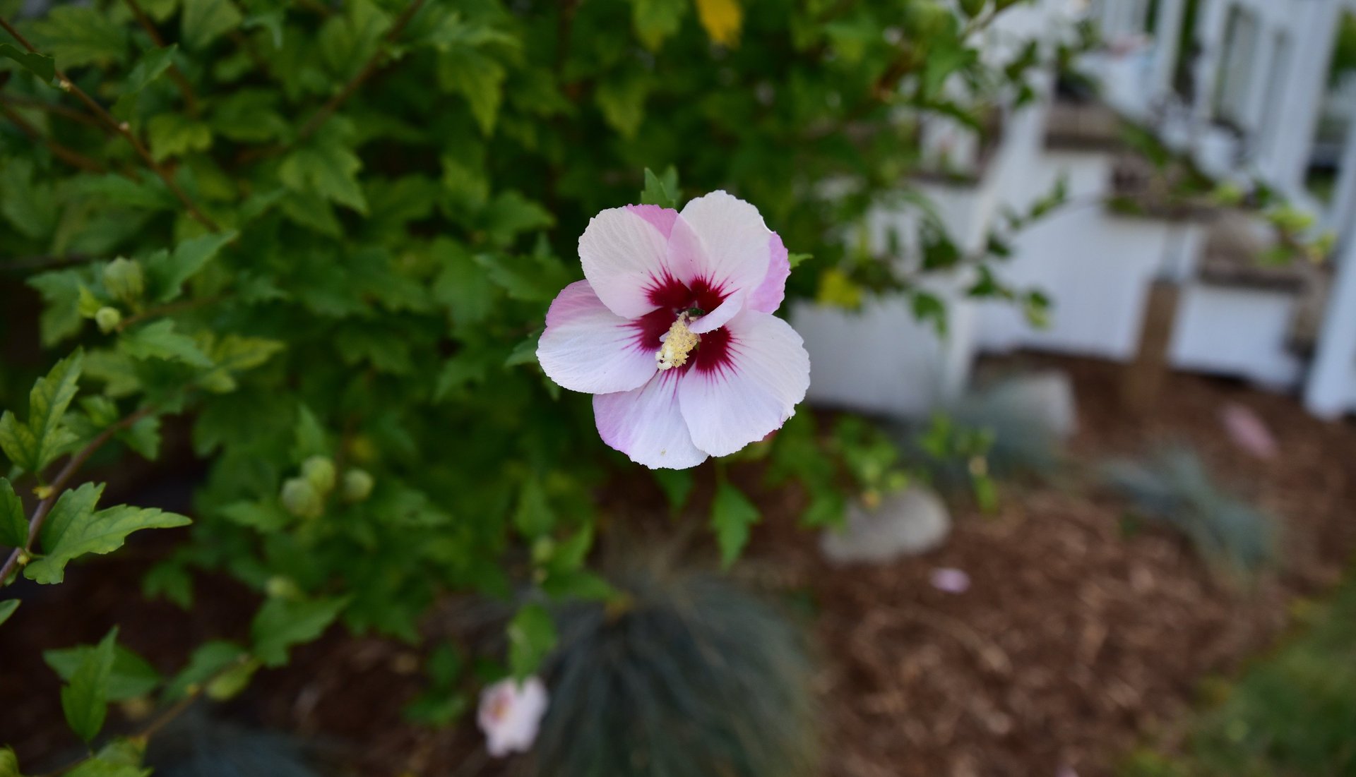 black and white bed linen