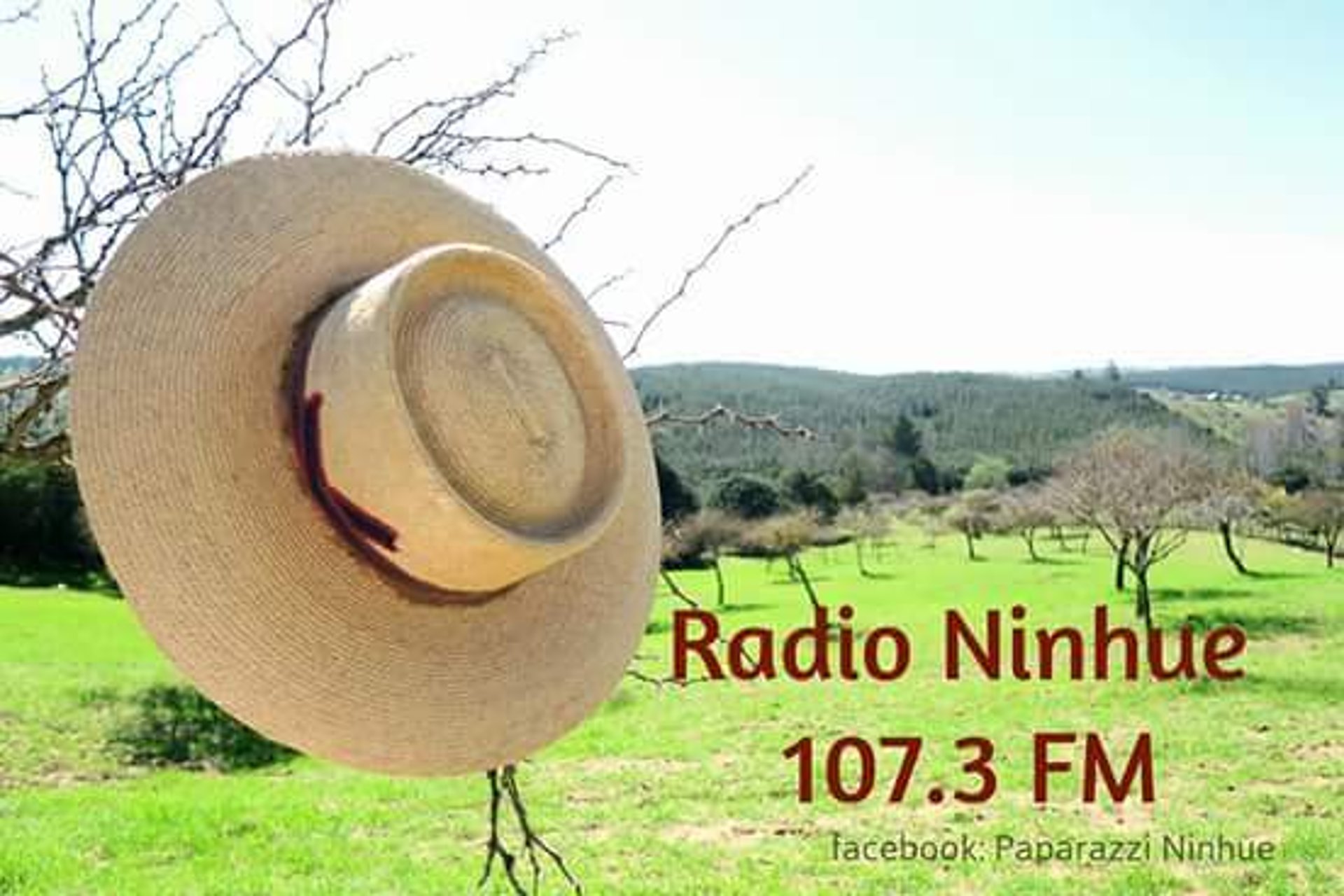 black and brown leather padded tub sofa