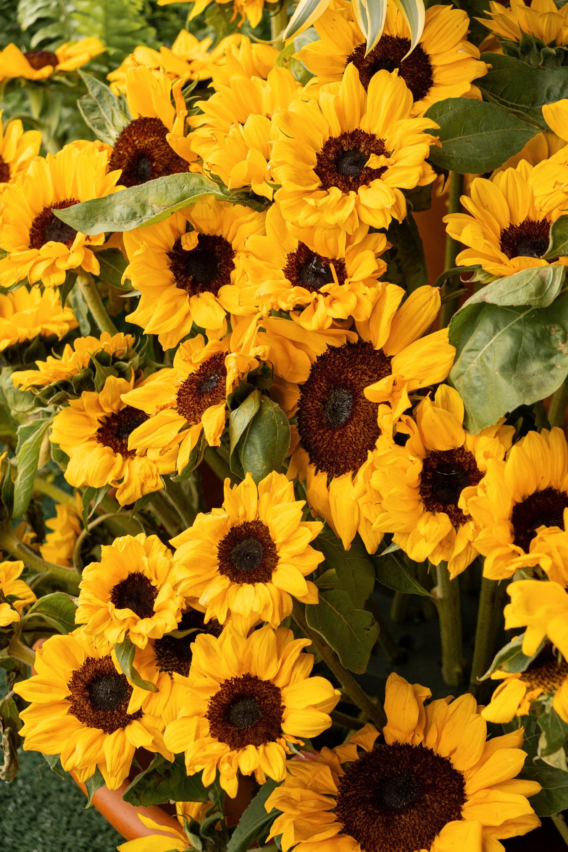black and white bed linen