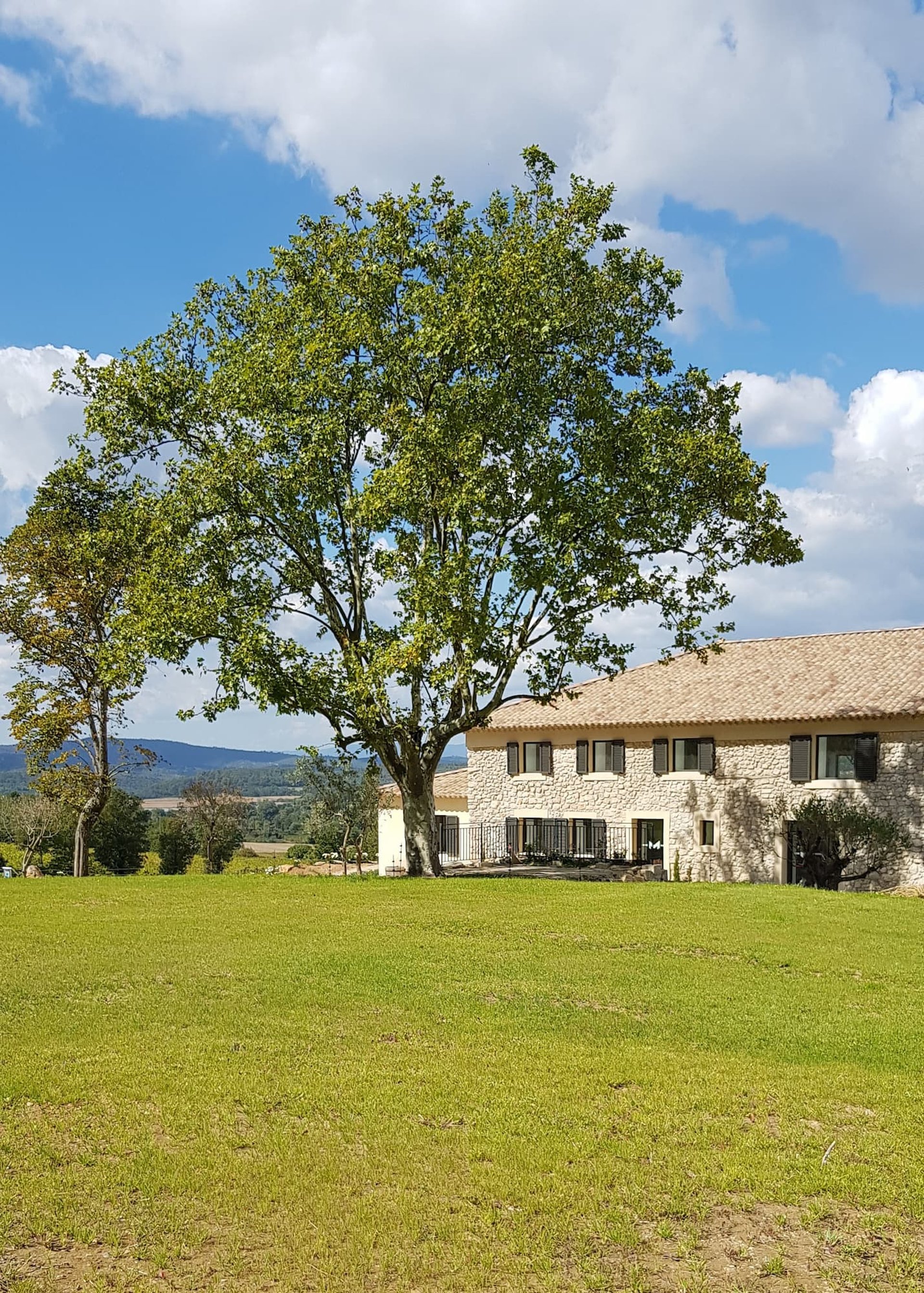 couple wearing silver-colored rings