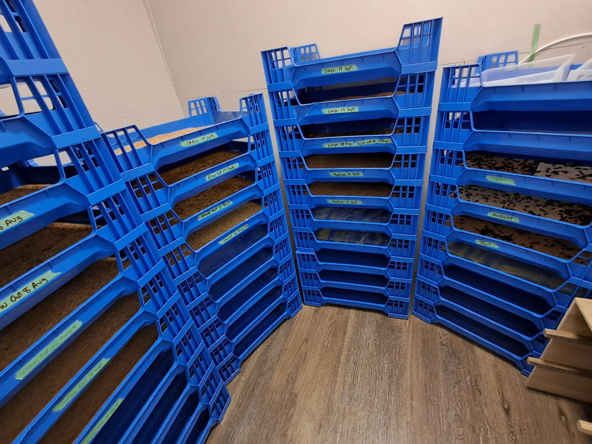 gray computer monitor