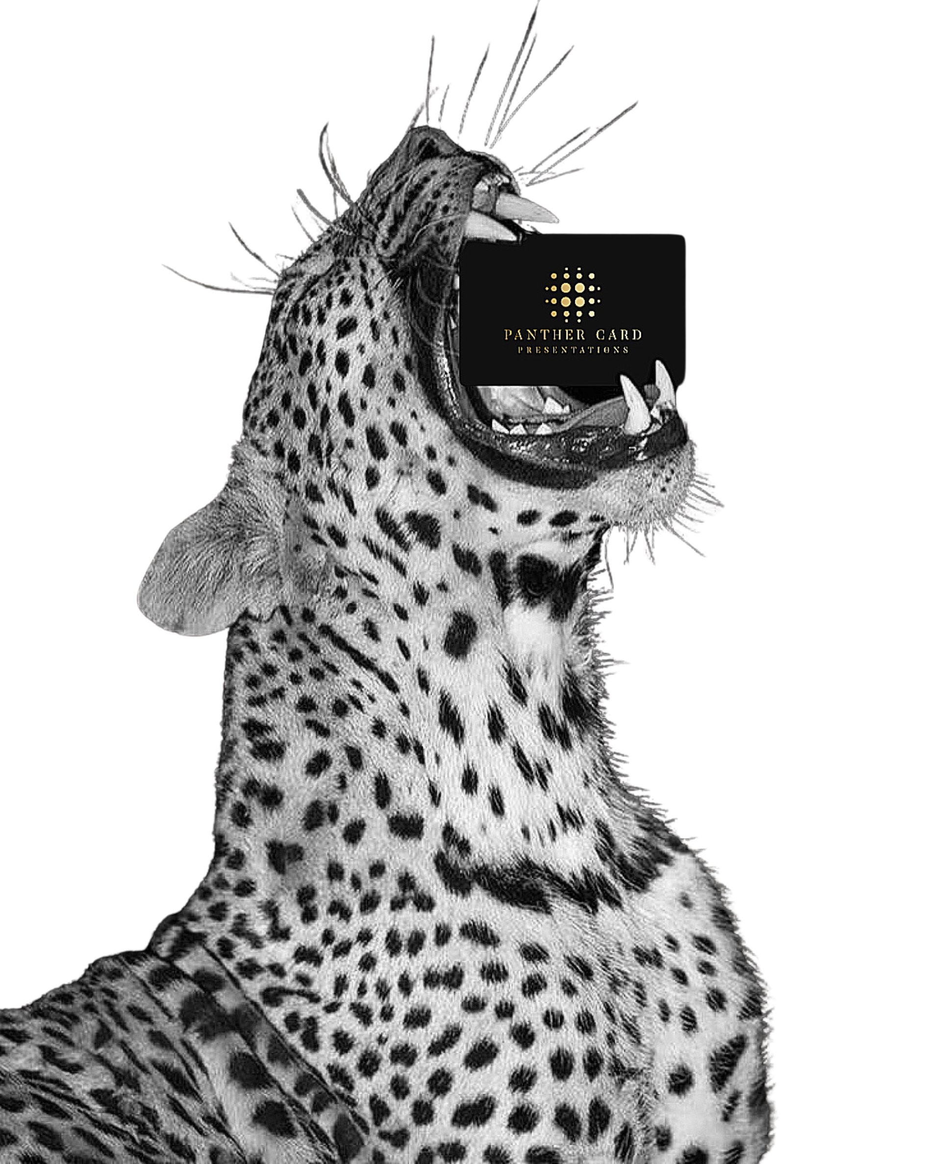 black and brown leather padded tub sofa