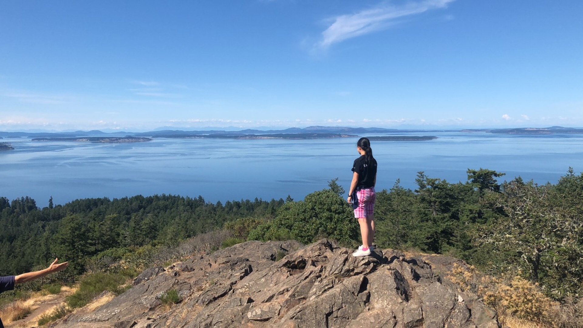 black and white bed linen