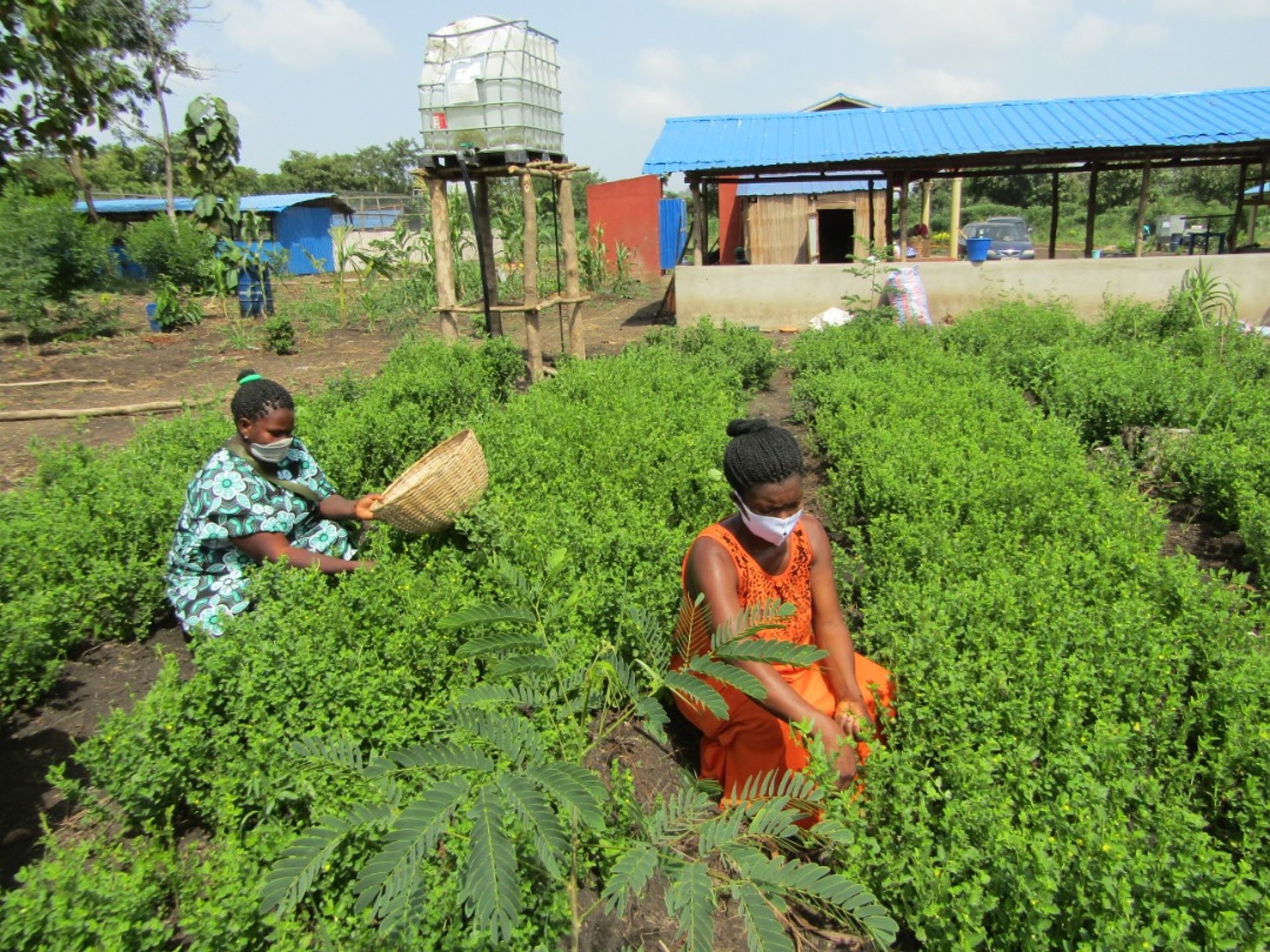 black and white bed linen