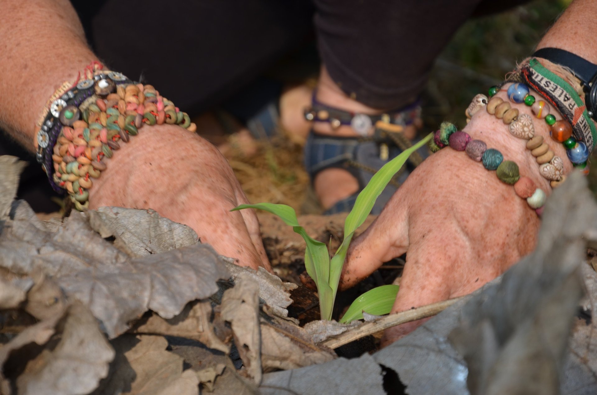 black and white bed linen