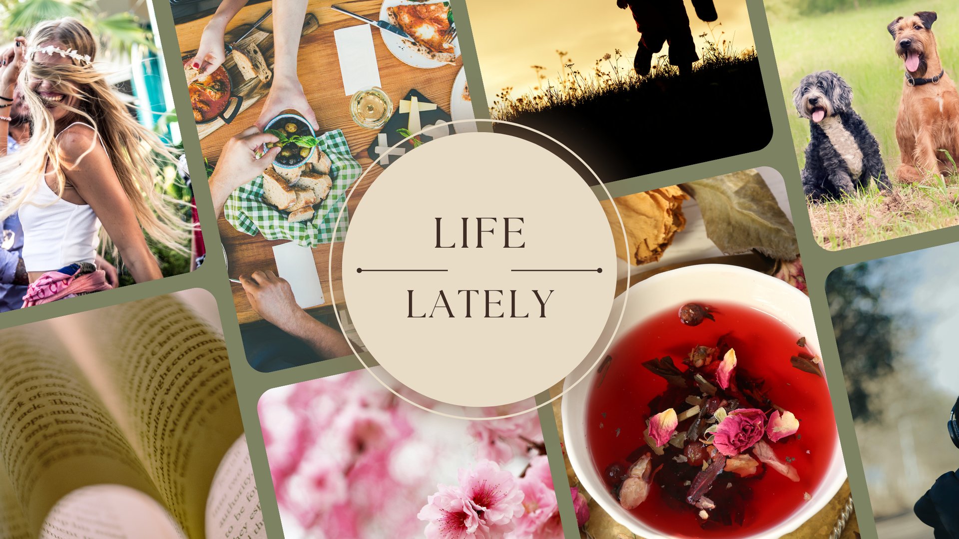 selective focus photo of pink petaled flowers