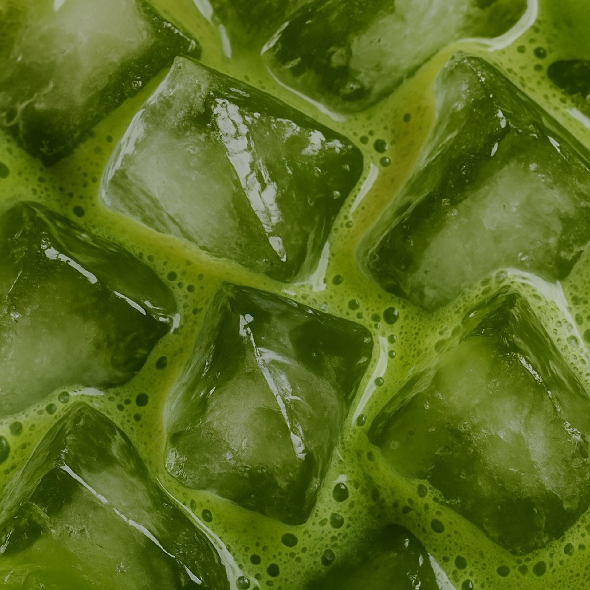 woman holding dried flower