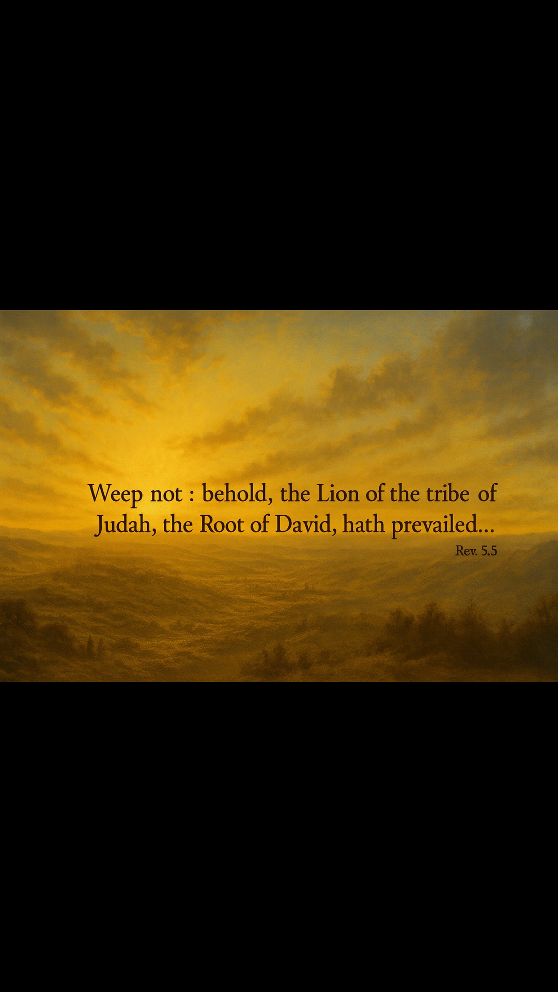 gray computer monitor