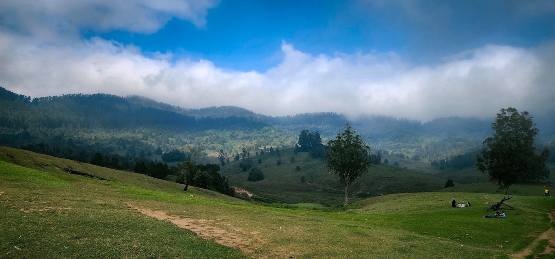 Mannavanur sheep farm view