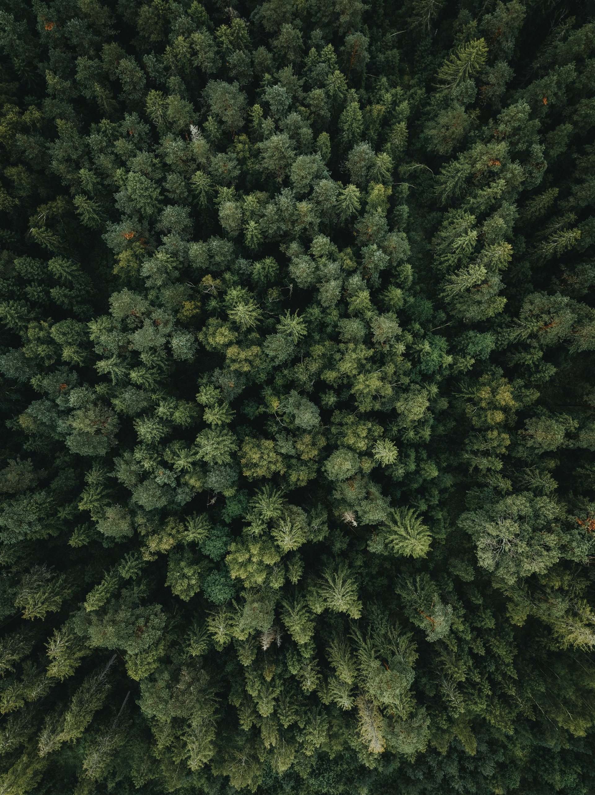 red and white love wall decor