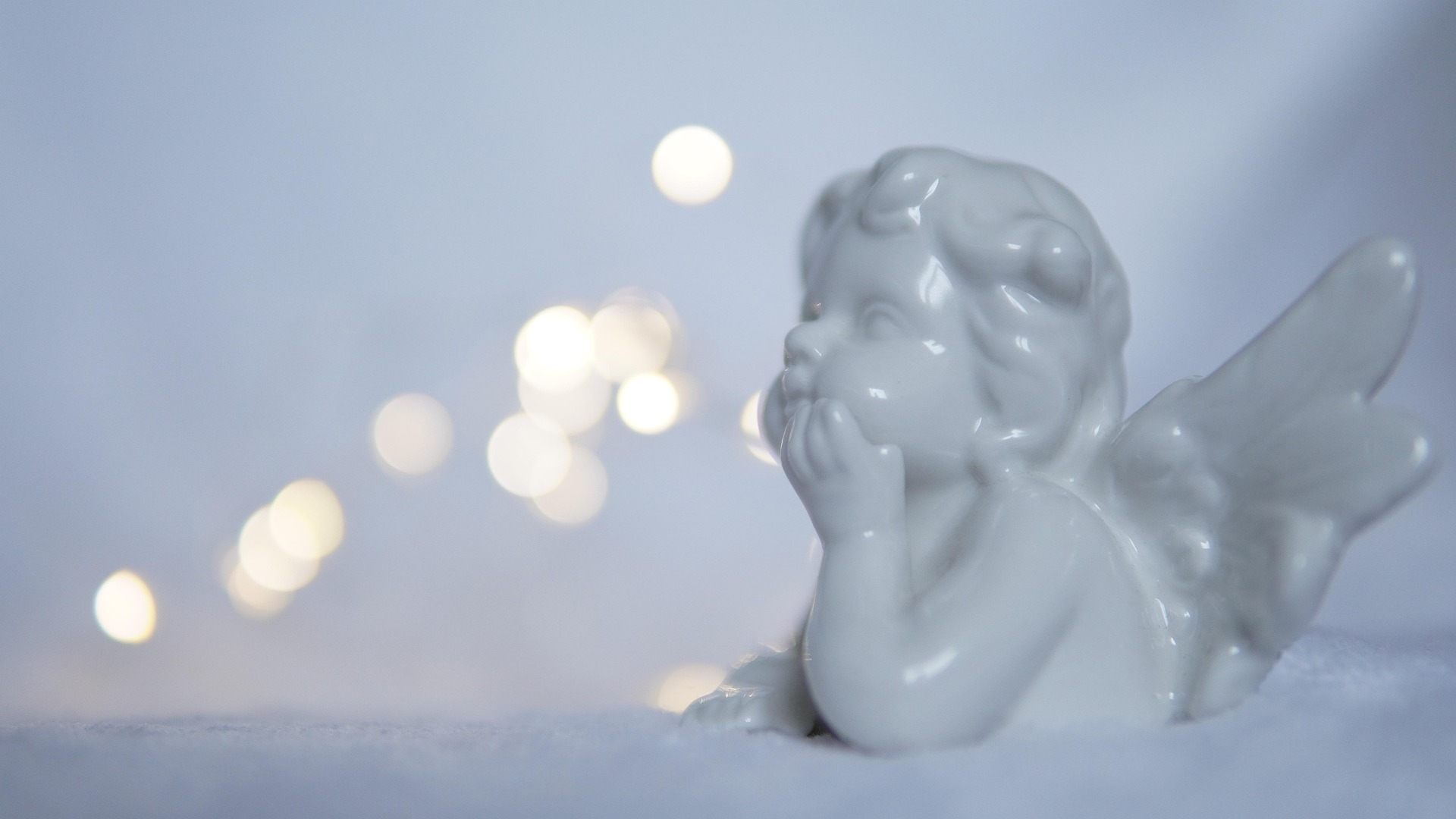 green pine trees on snow covered ground near body of water during daytime