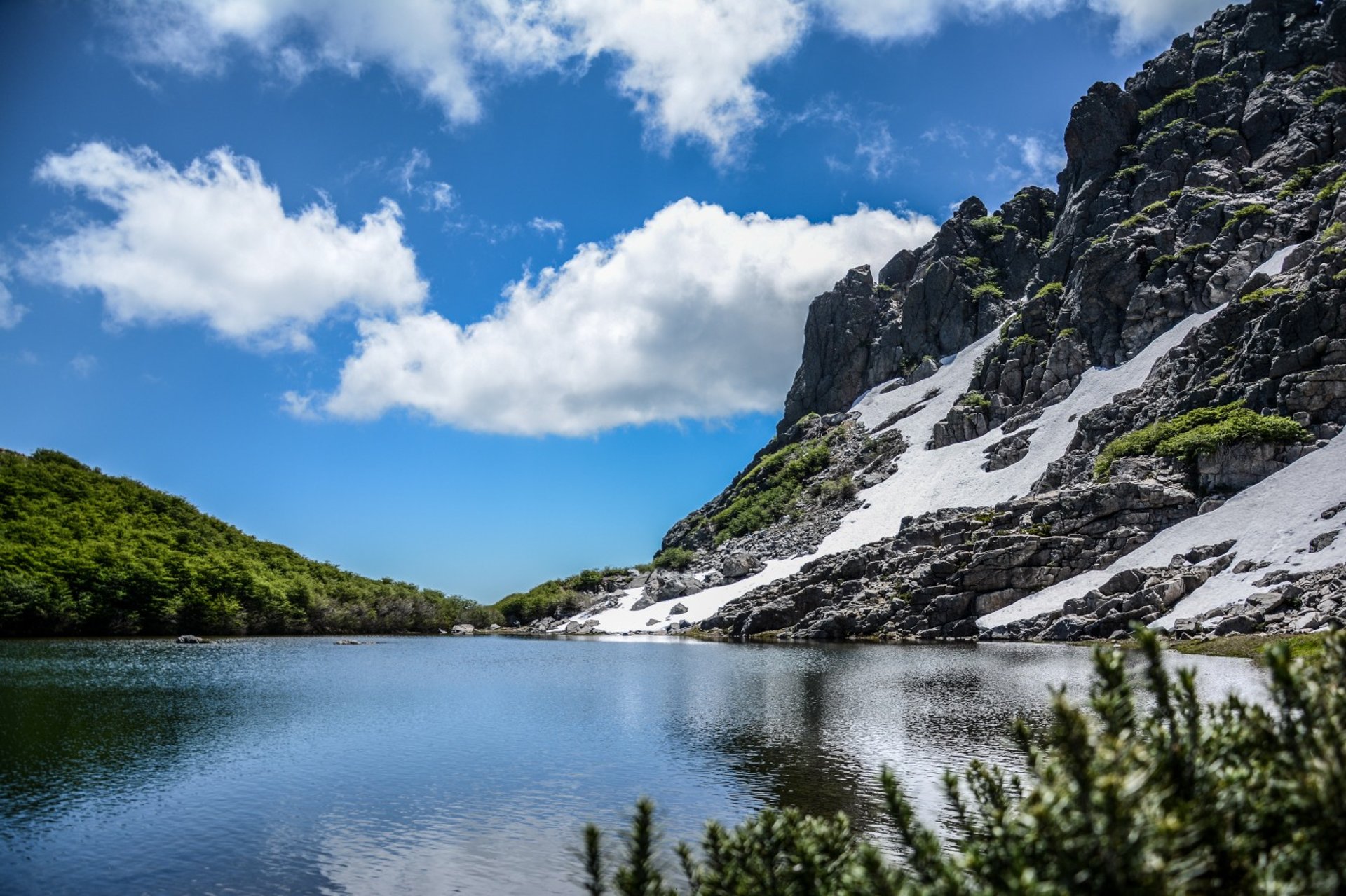 green trees and white snow mountain