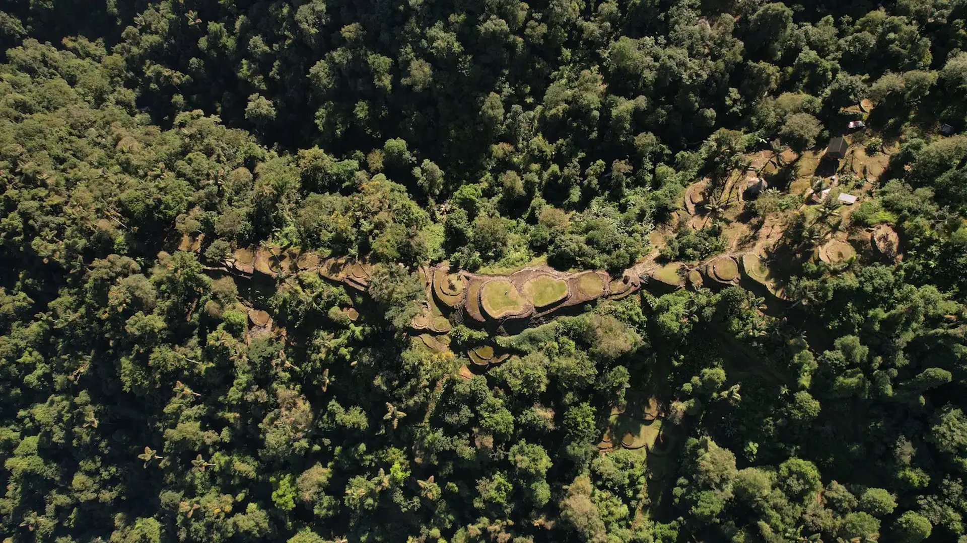 Lost City Teyuna with Domek Tours, Archeology, Culture and Nature