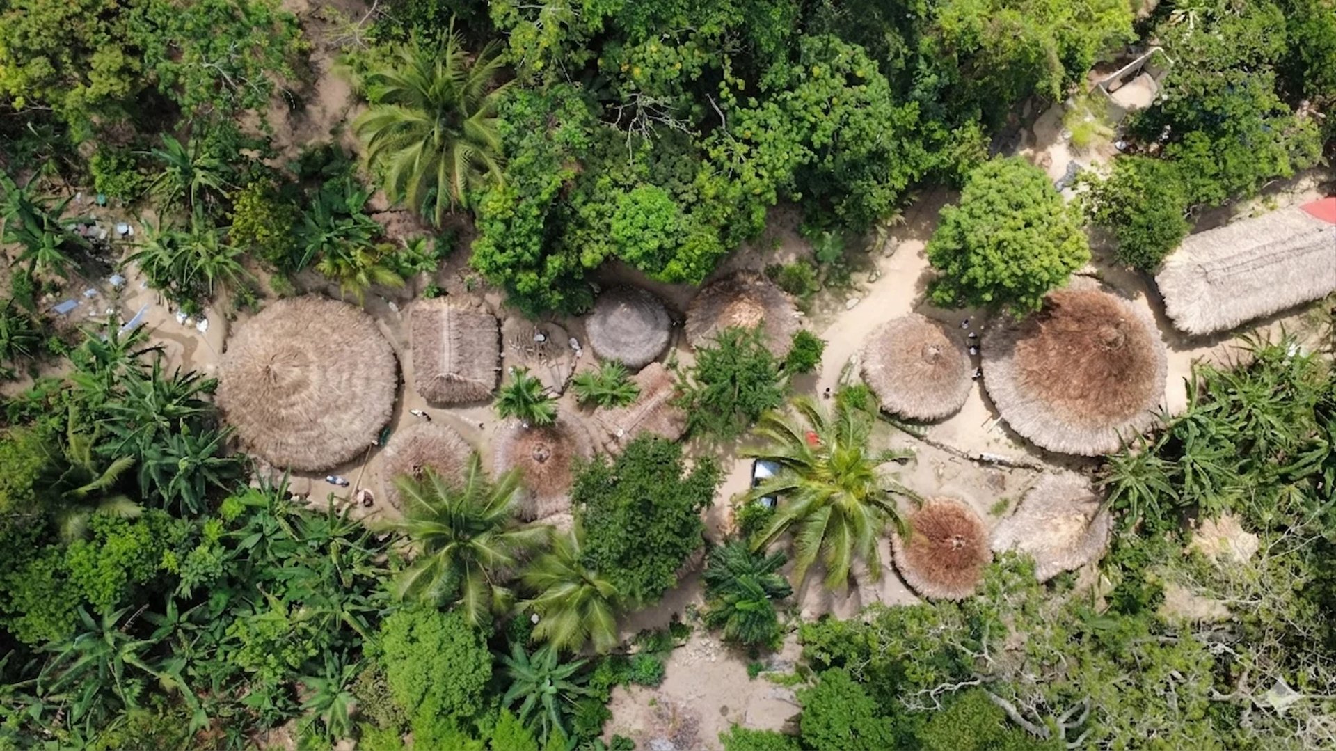 Kogui indigenous houses