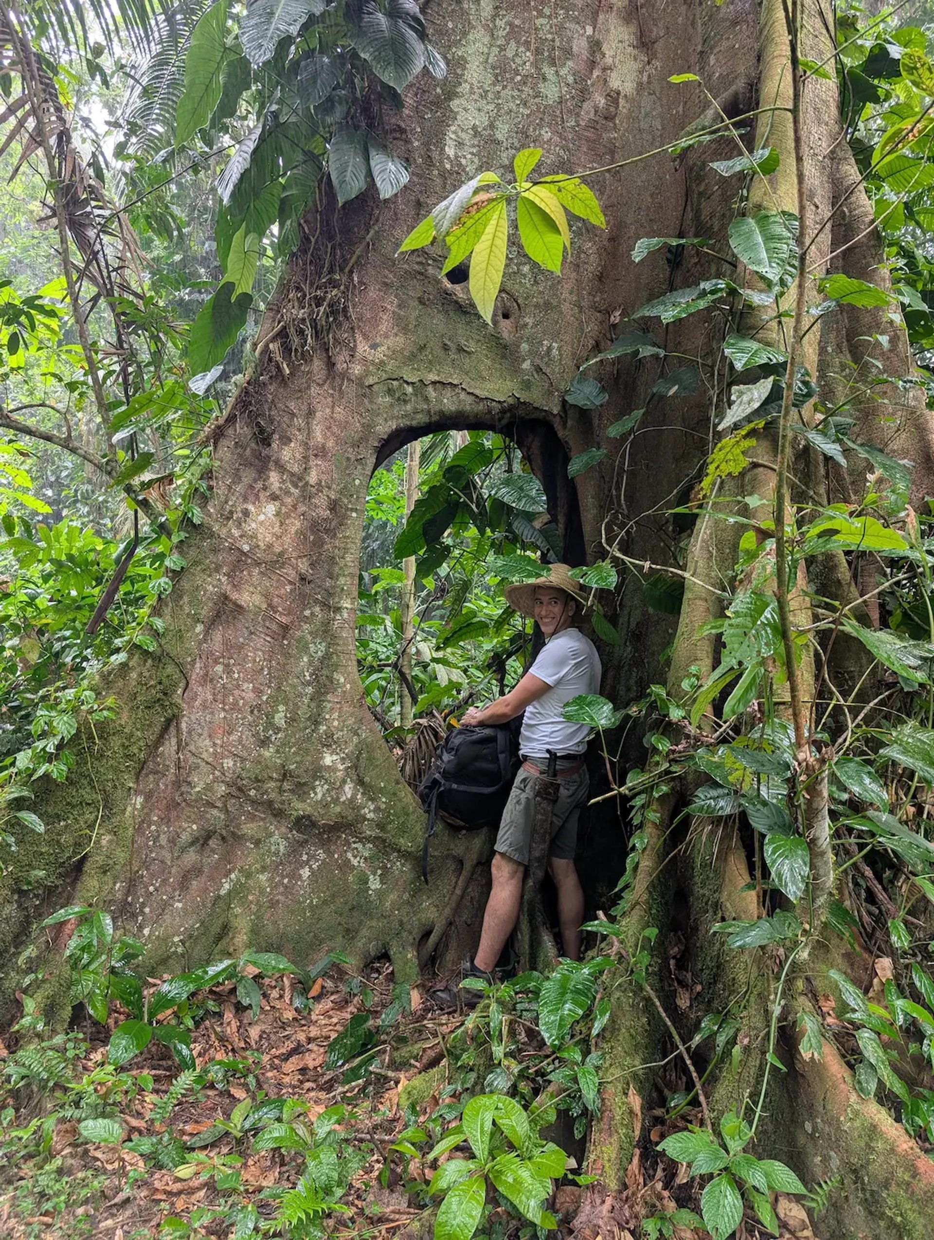 an abstract photo of a curved building with a blue sky in the background