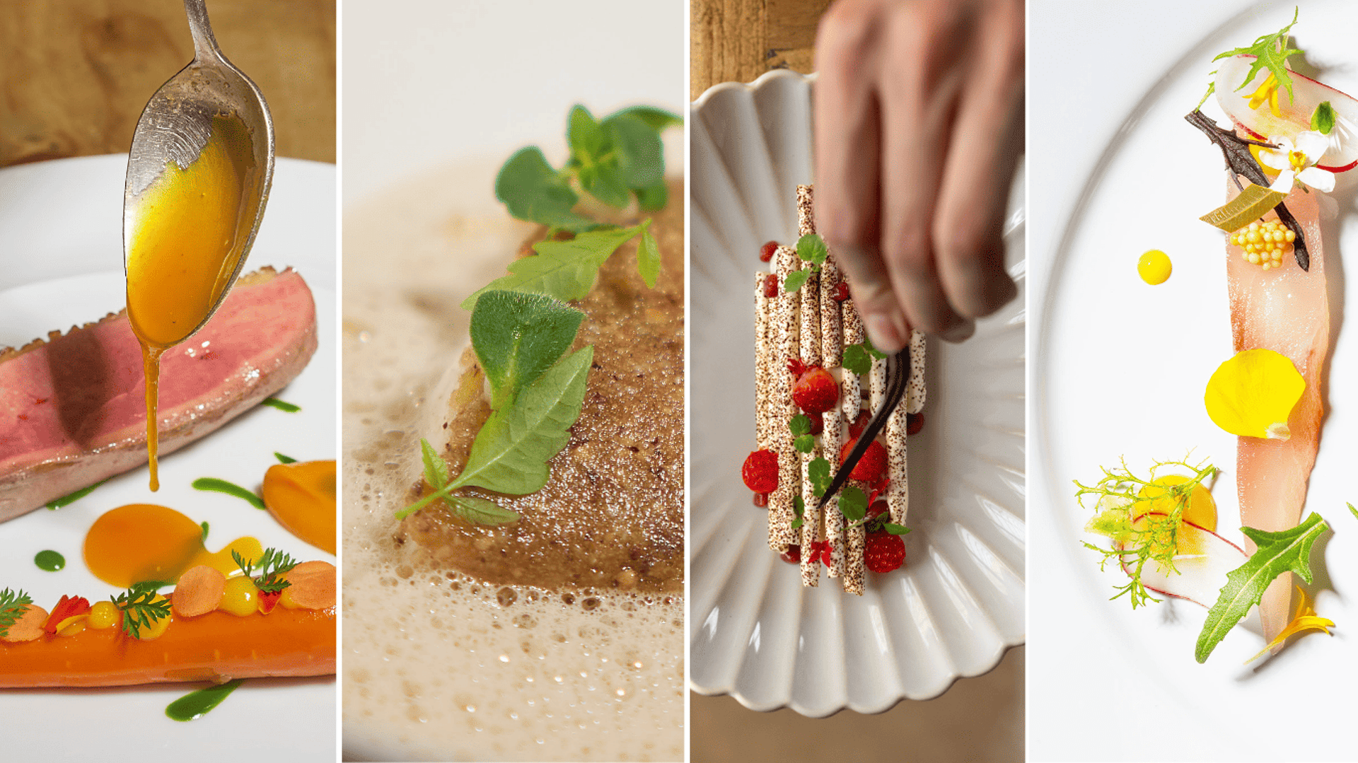 Loup des côtes de Marseille, fèves au guanciale et écume basilic