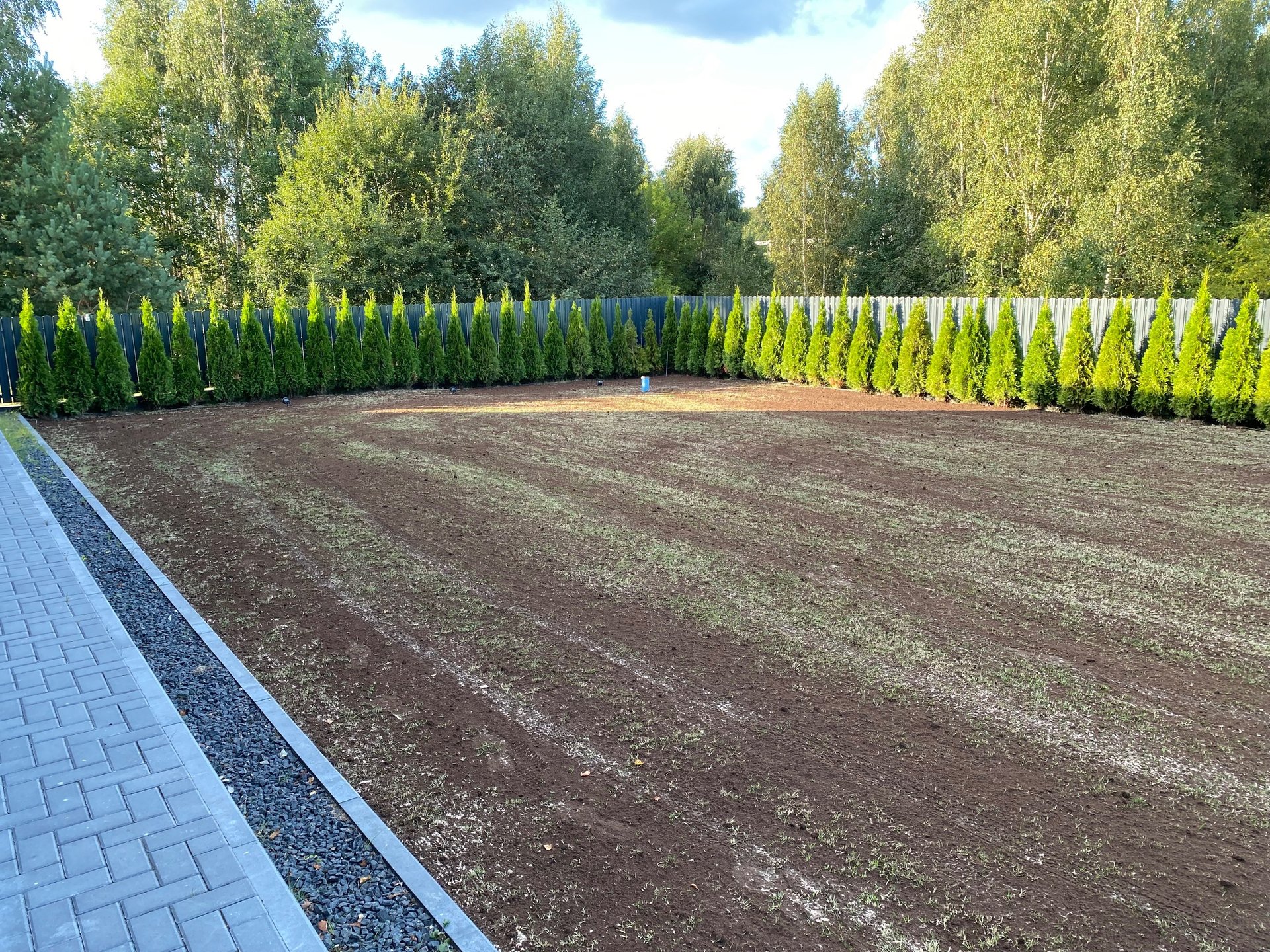 black blue and yellow textile