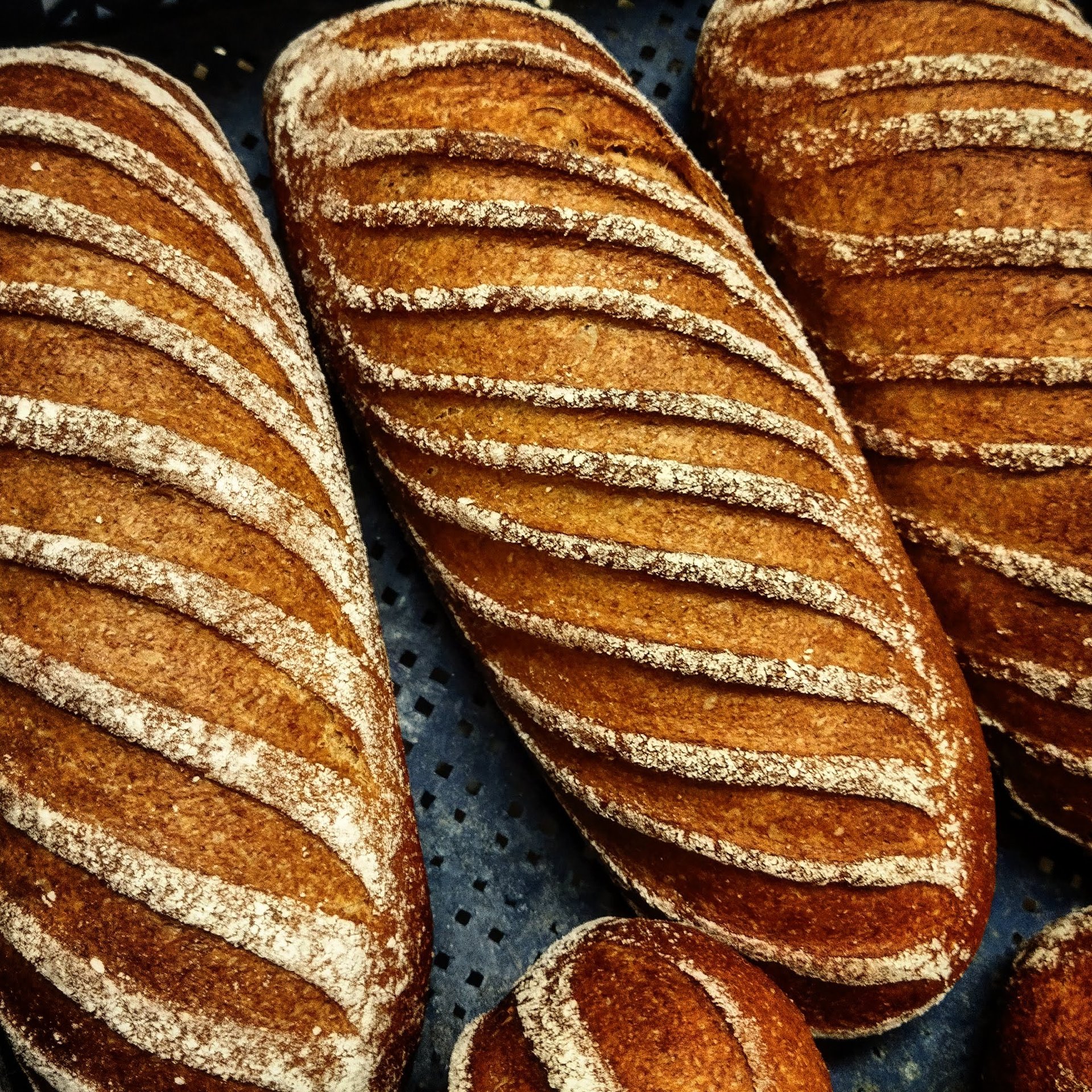 mountain range under blue sky